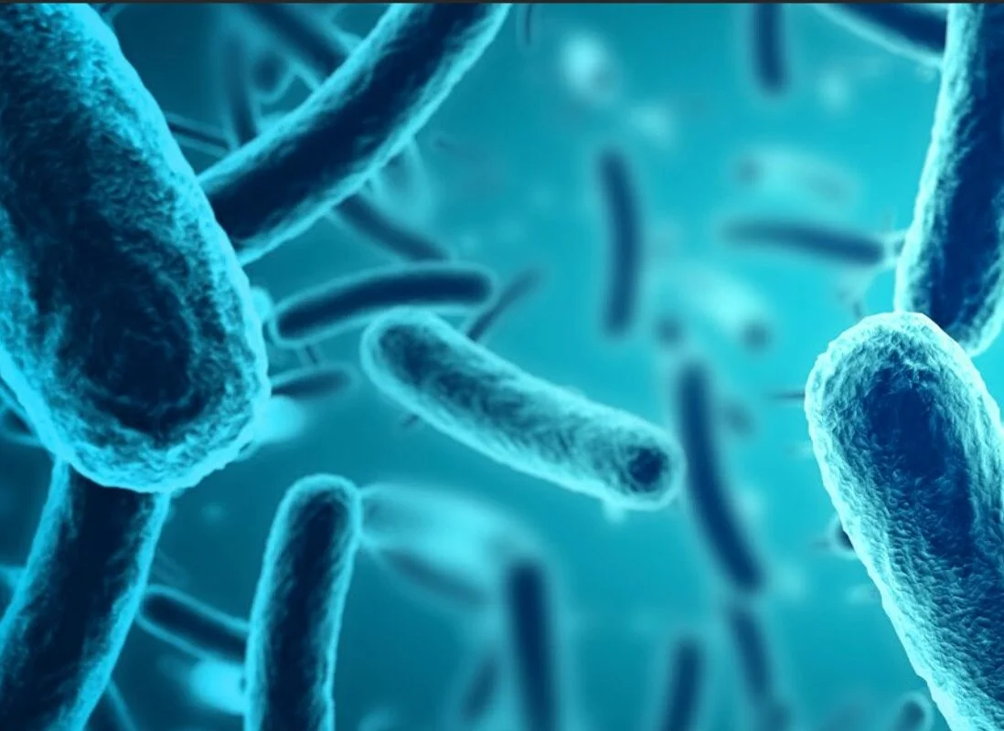 Cross-Infection risks in ultrasound examinations