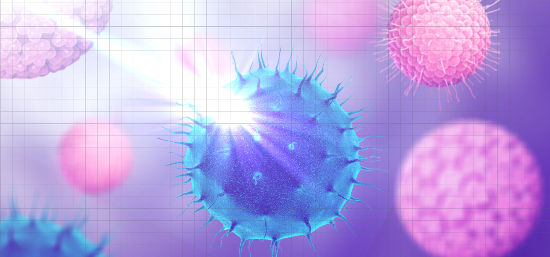 10 Recommendations For Point of Care Ultrasound Probe Disinfection