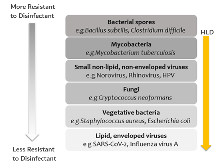 COVID-19: Prevention of Cross Infection in Diagnostic Ultrasound