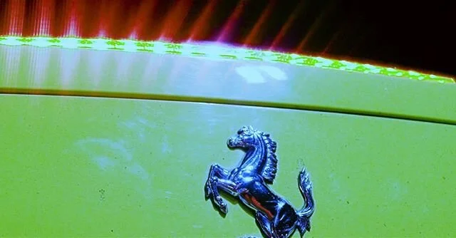 N O  T I M E  T O  P L A Y  R O U N D