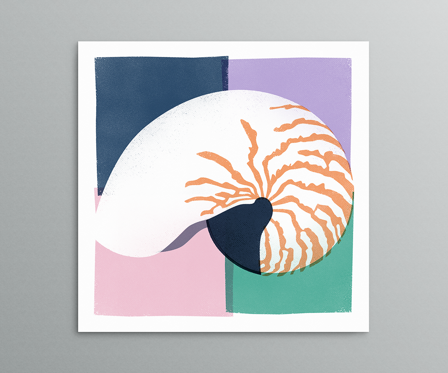 Nautilus-Wide.png