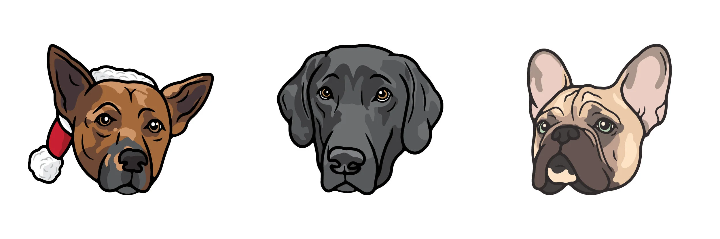 SquareSpace-Illustrations-05.jpg
