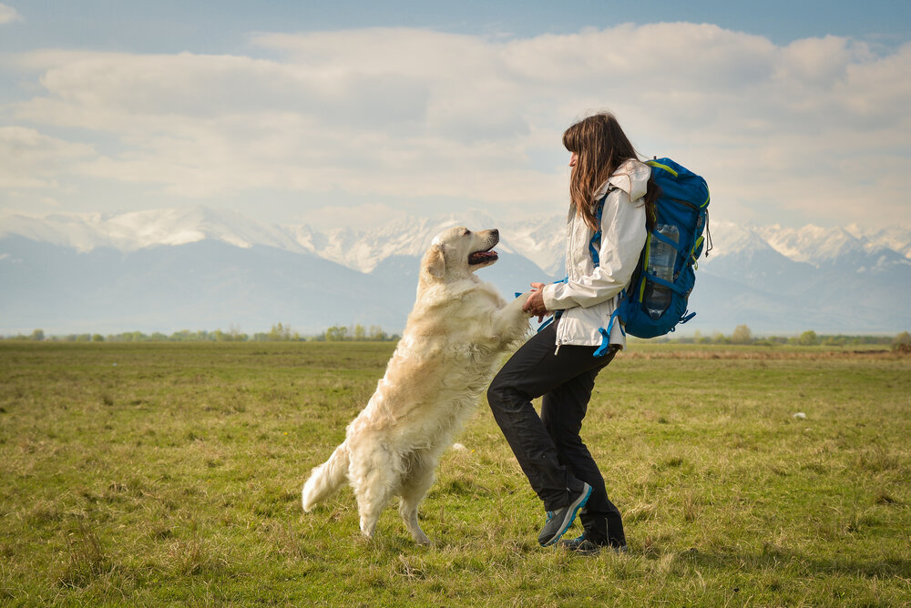 How to Connect with Your Dog on a Deeper Level — The Trusted Companion