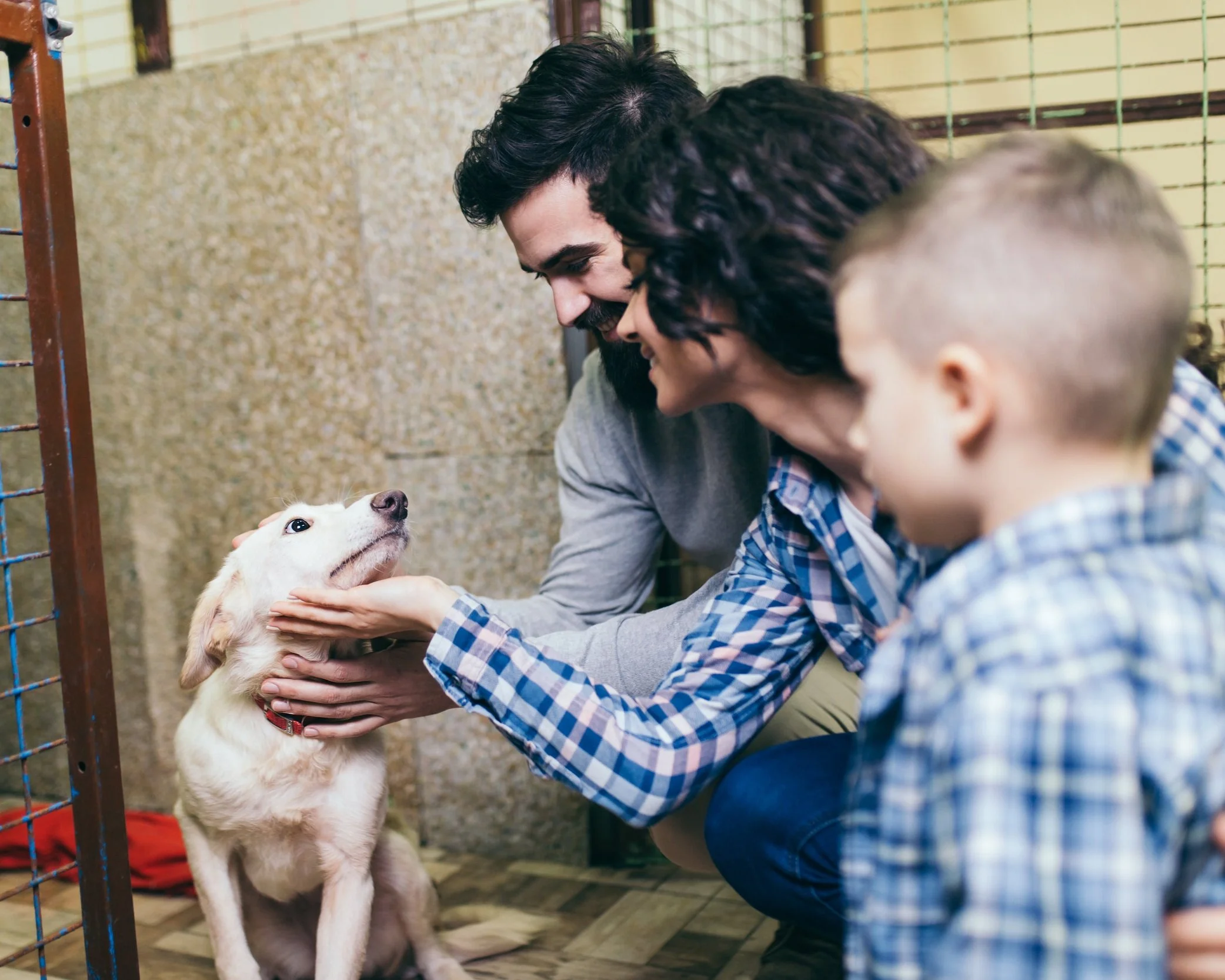 Dog Training Massanutten VA The Trusted Companion