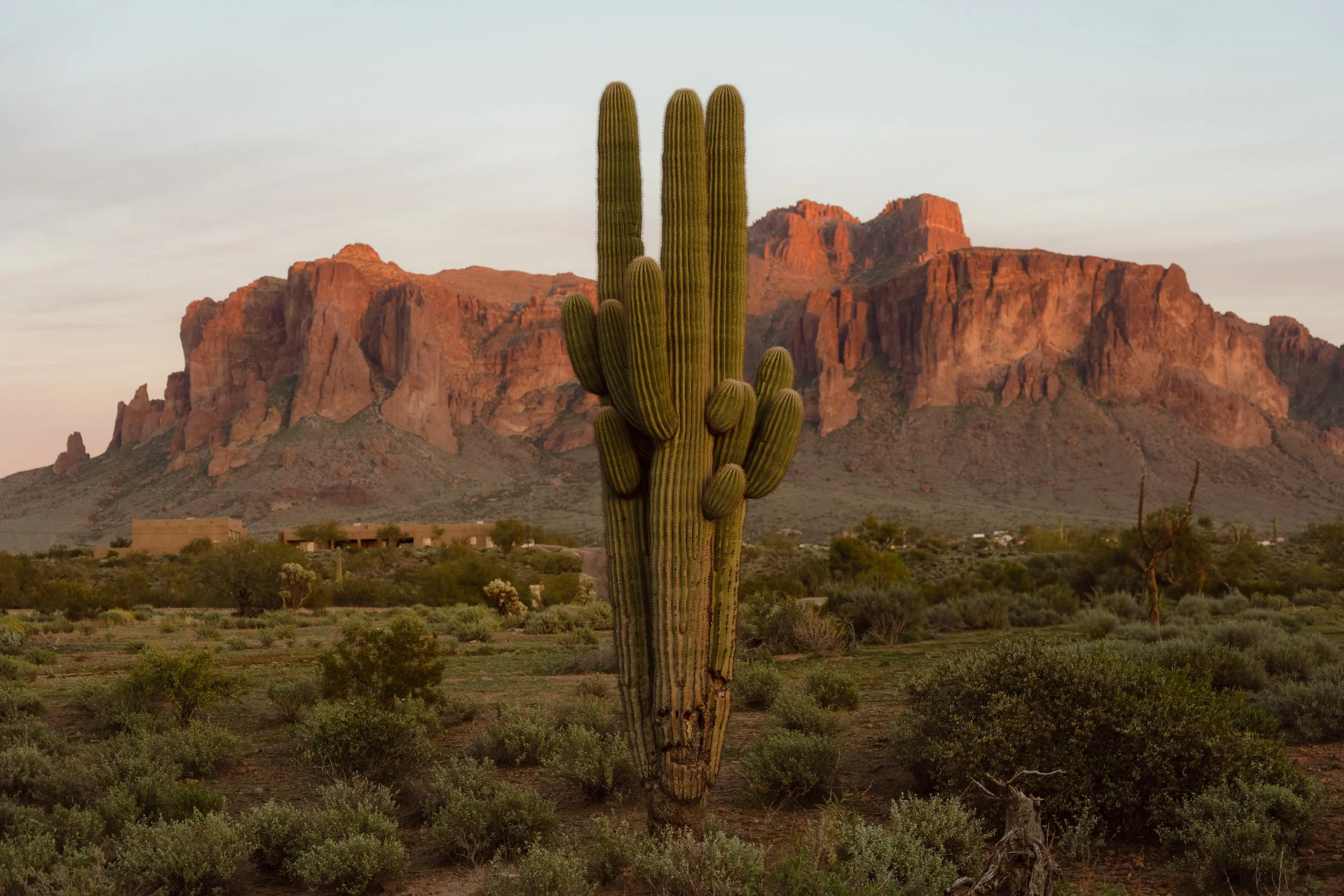 arizona wedding venue 