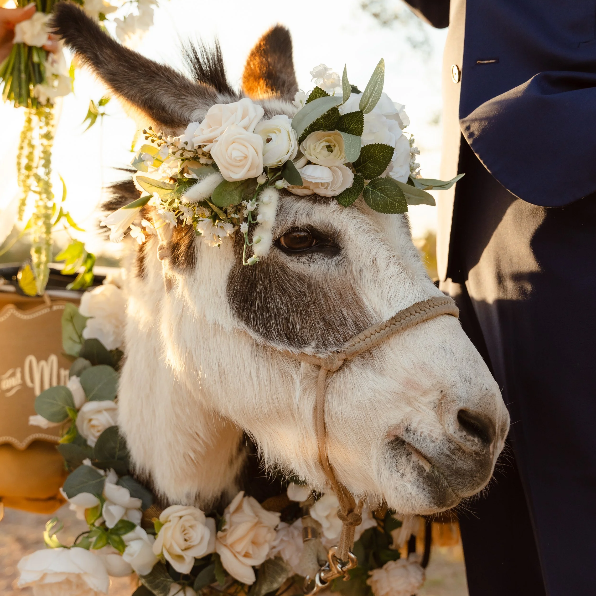 phoenix wedding venues