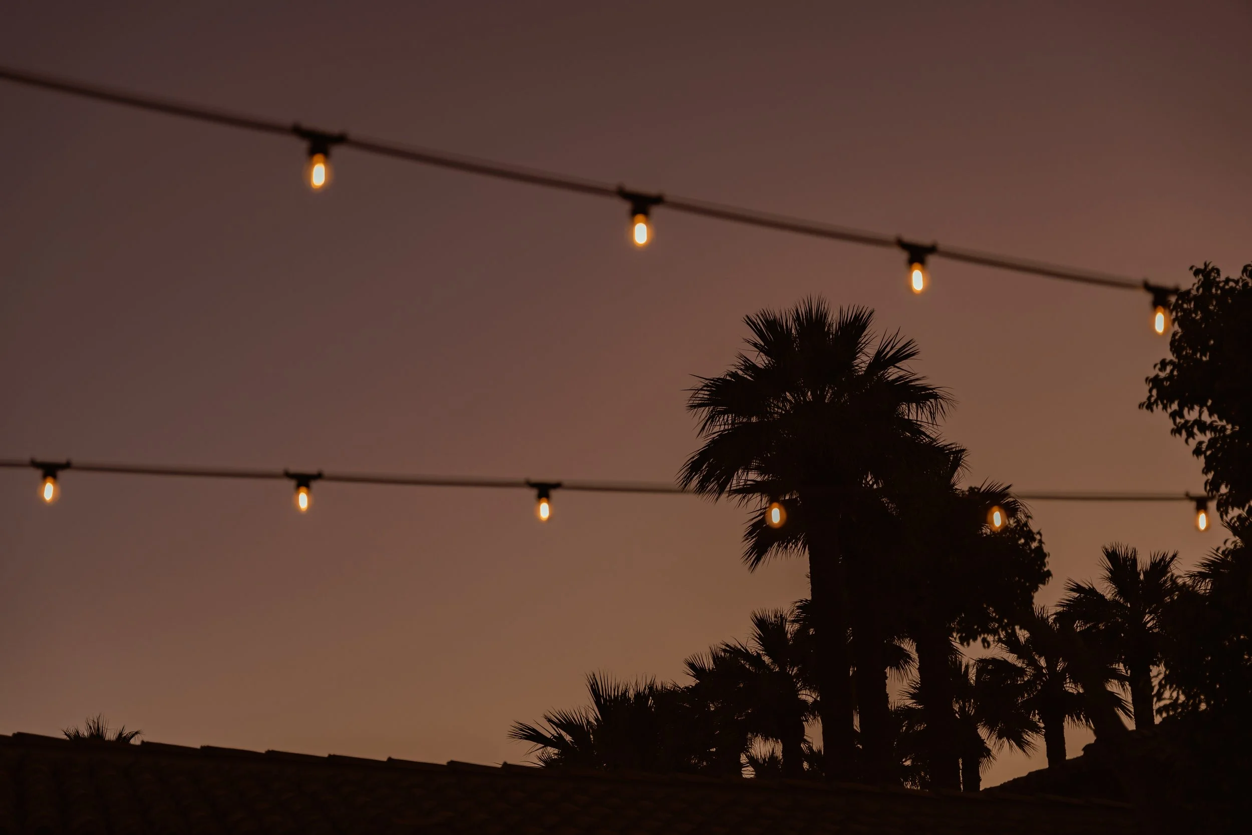 scottsdale wedding photographer 