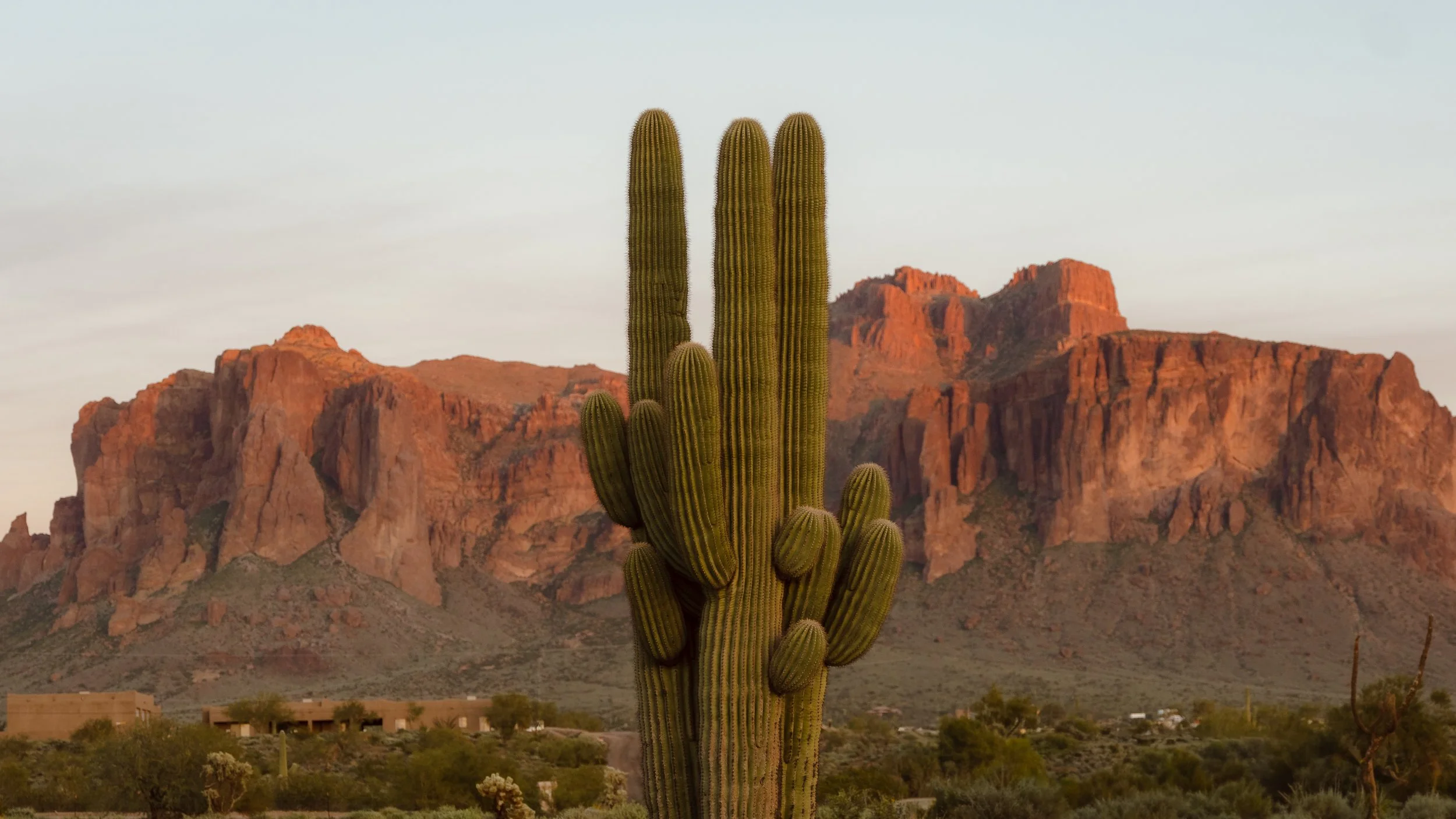 A tall saguaro cactus in front of red rock mountains during sunset in the desert.