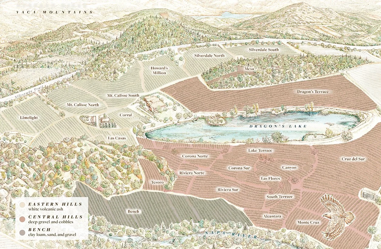 Quintessa: A Quest For Balance