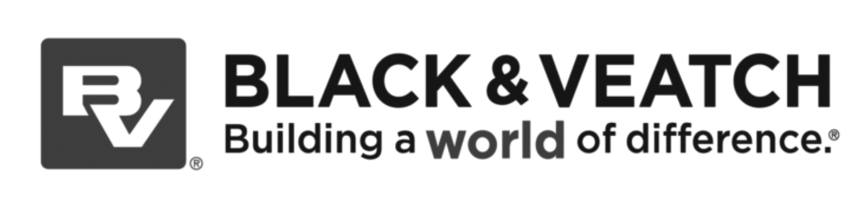 logo-blackv.png