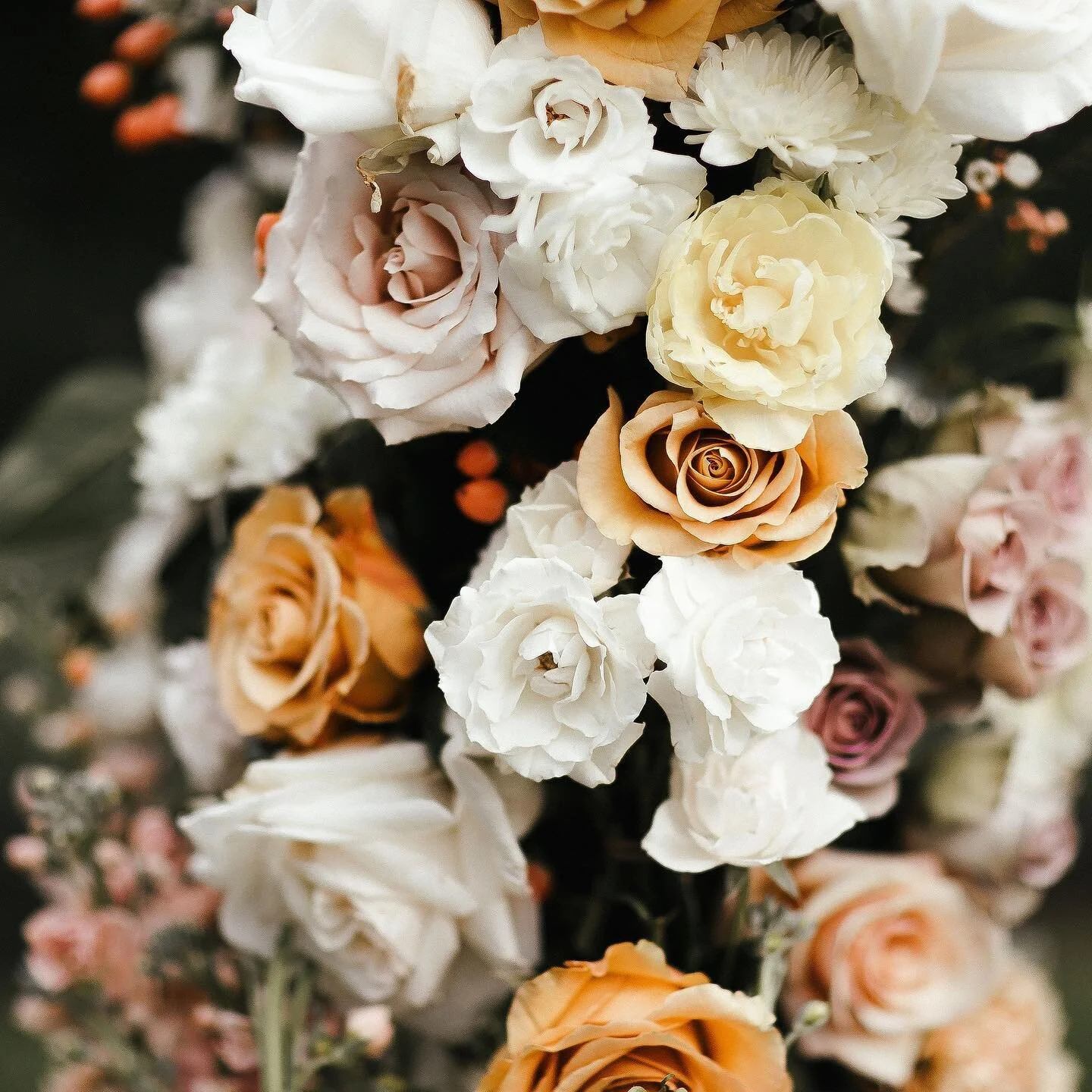 Jacksonville Florist Flower Delivery Decor Weddings Events
