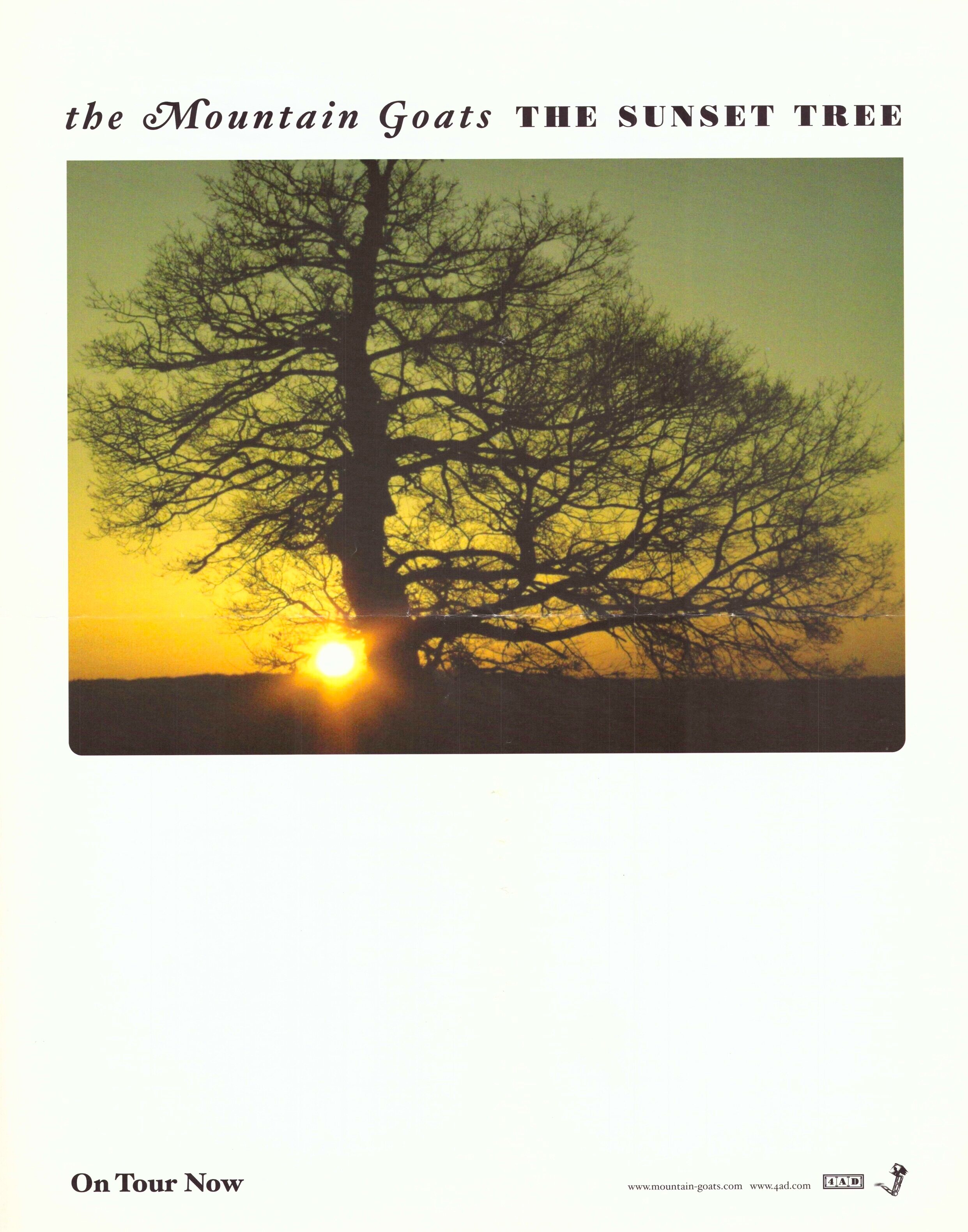 THE SUNSET TREE