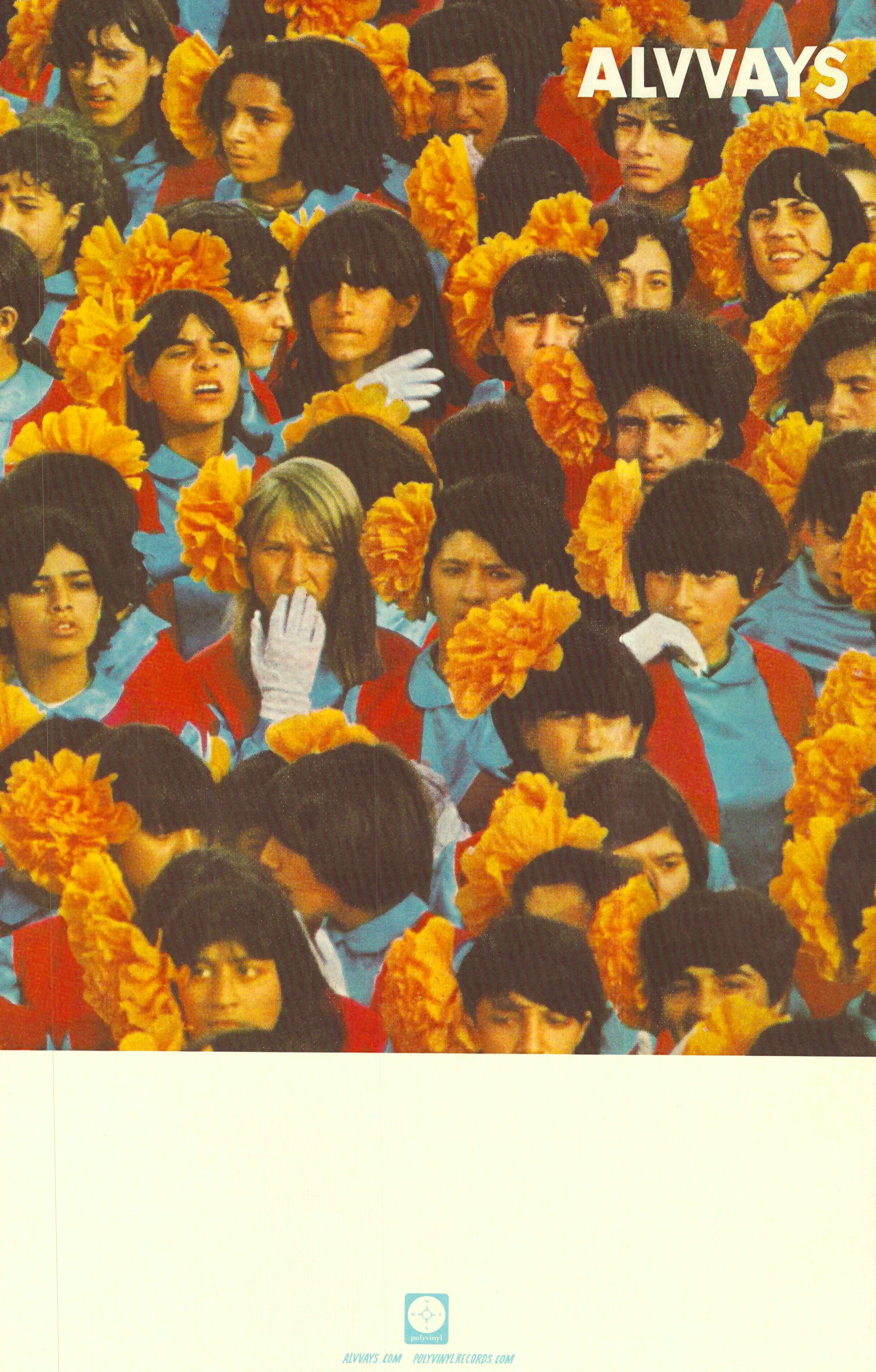 ALVVAYS