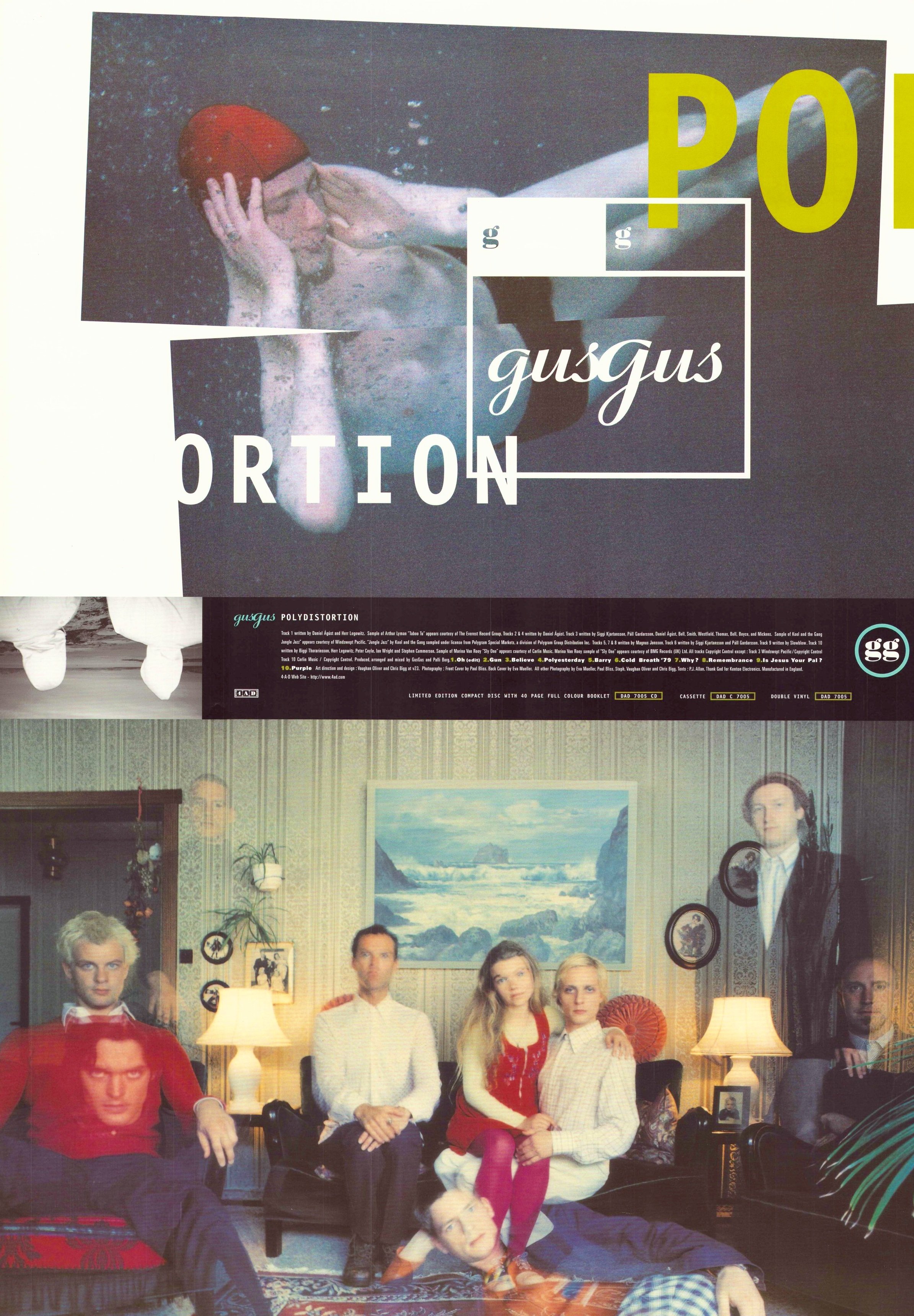 POLYDISTORTION
