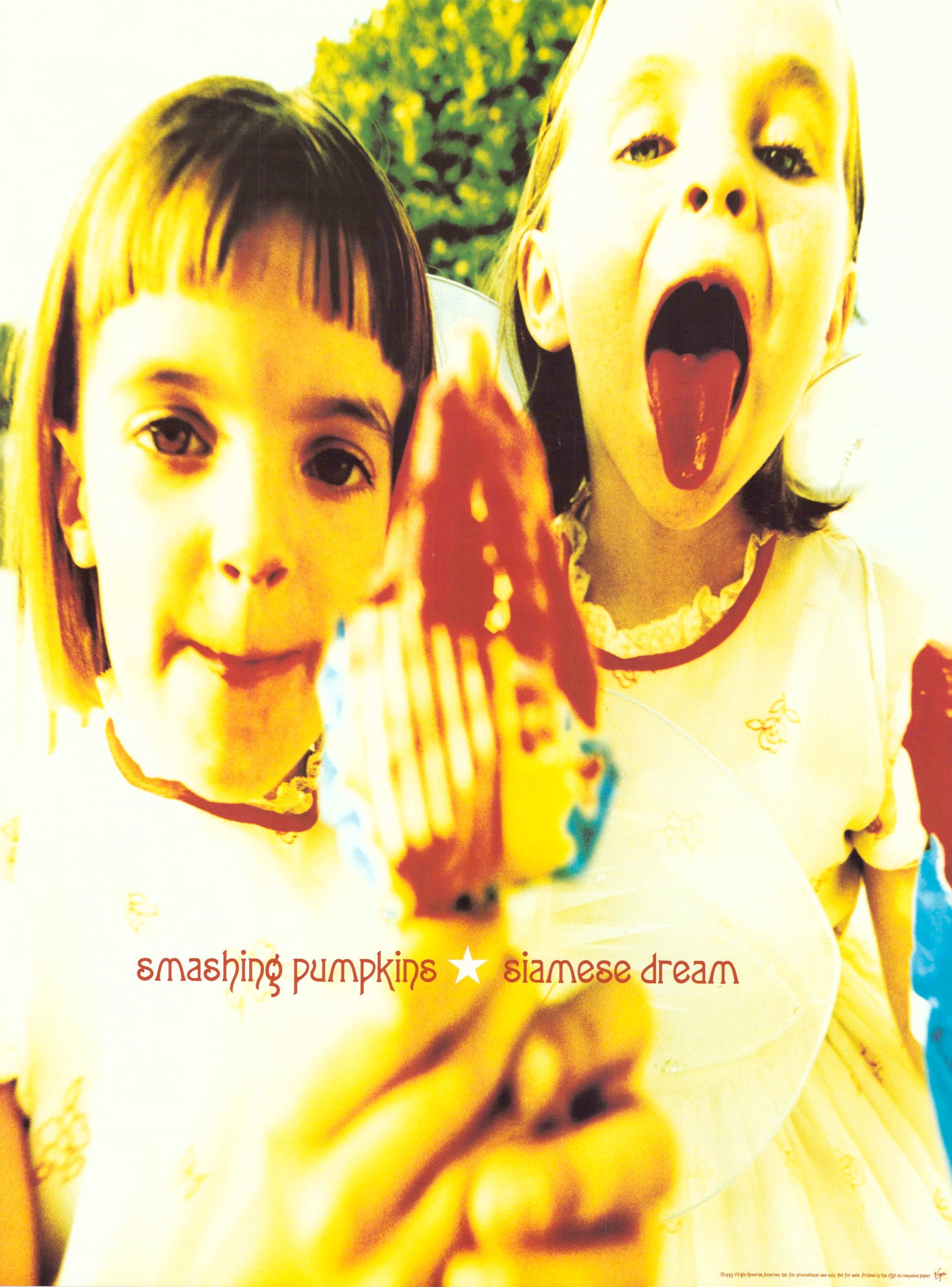 SIAMESE DREAM