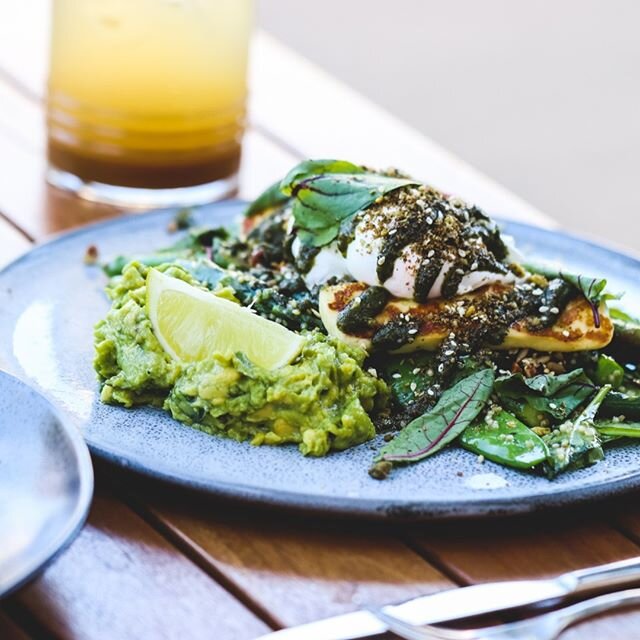 Good luck resisting our signature Seasonal Greens Breakfast Salad. Oozing with sm'avo, seed and nut mix, quinoa, spinach, halloumi, poached eggs, macadamia pesto and lemon myrtle ockkah. Dig right in. 👀