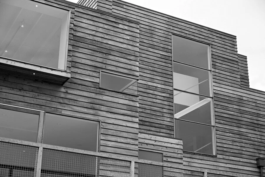 external25.jpg