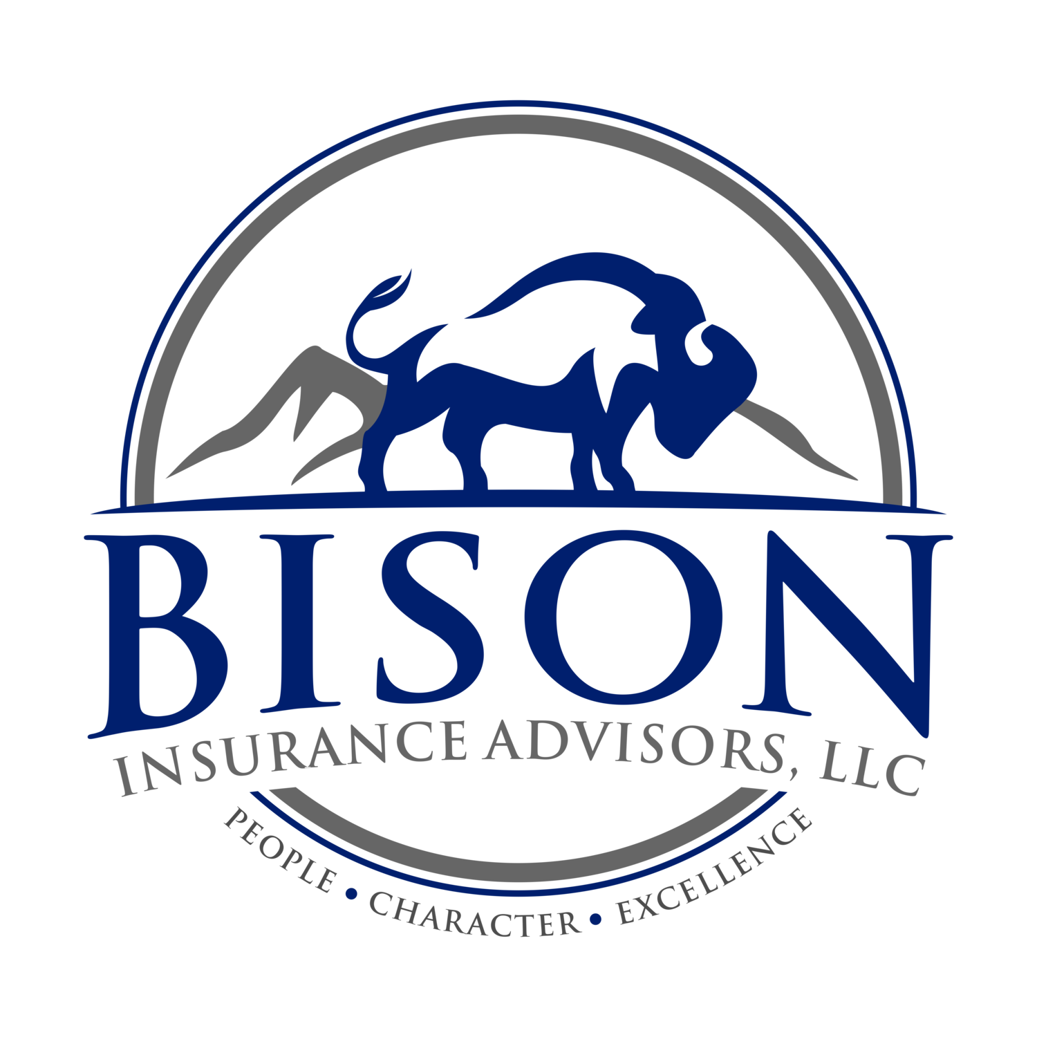 Bison Insurance Advisors LLC