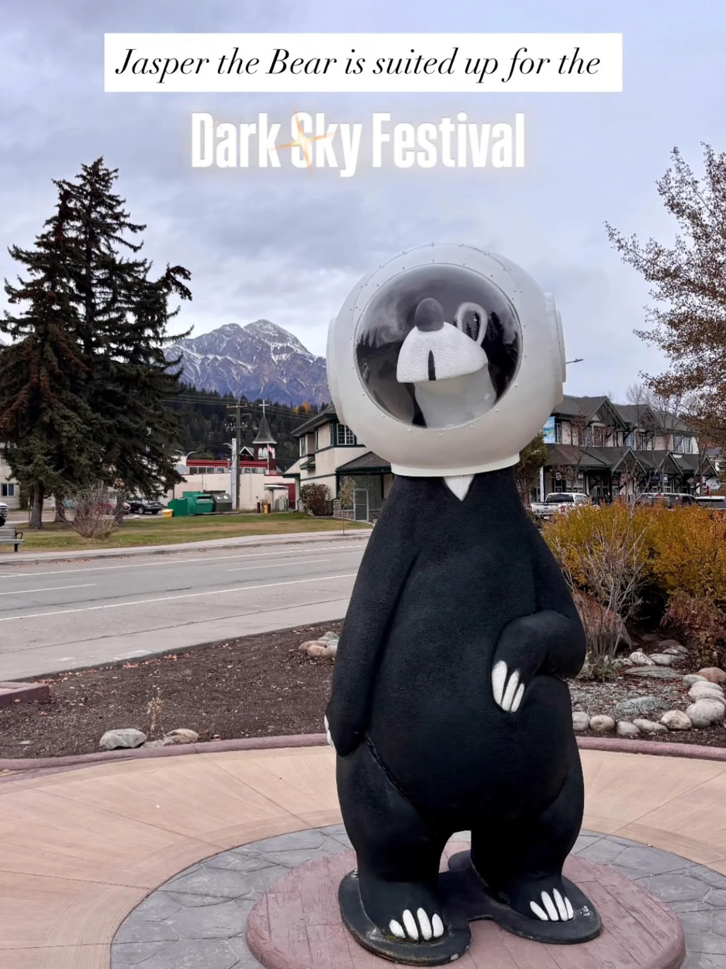Jasper the Bear is ready for another stellar week in Jasper!
