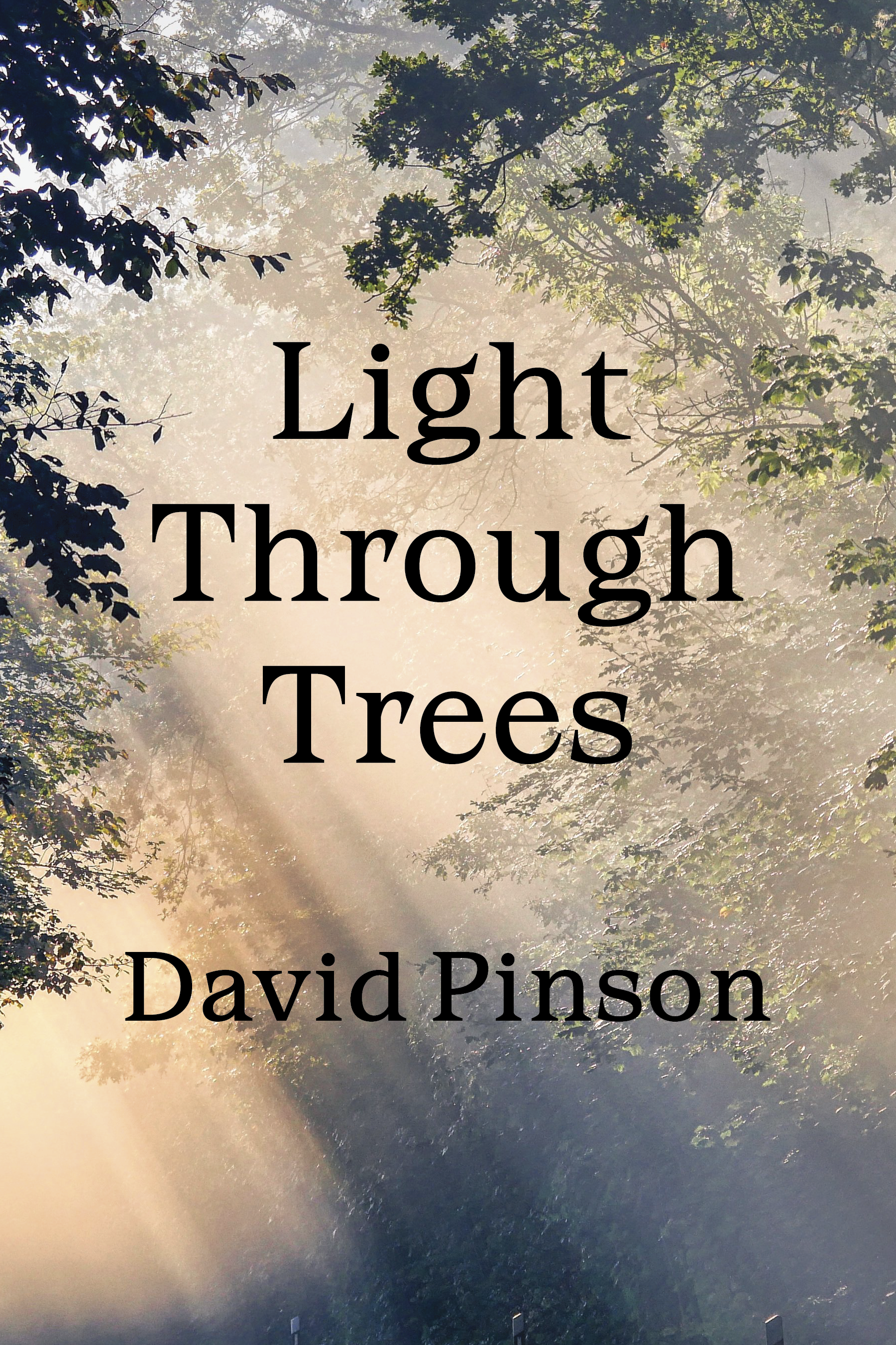 Light Through Trees