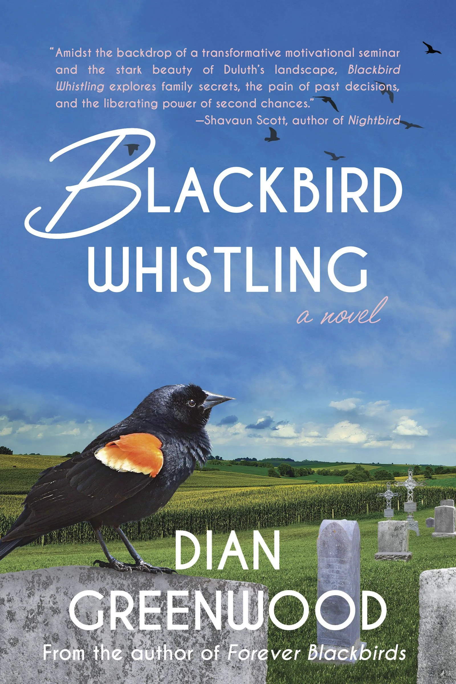 Blackbird Whistling