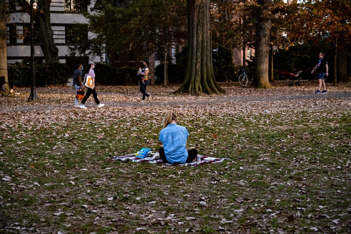 Shots from Meridian Hill Park this fall.