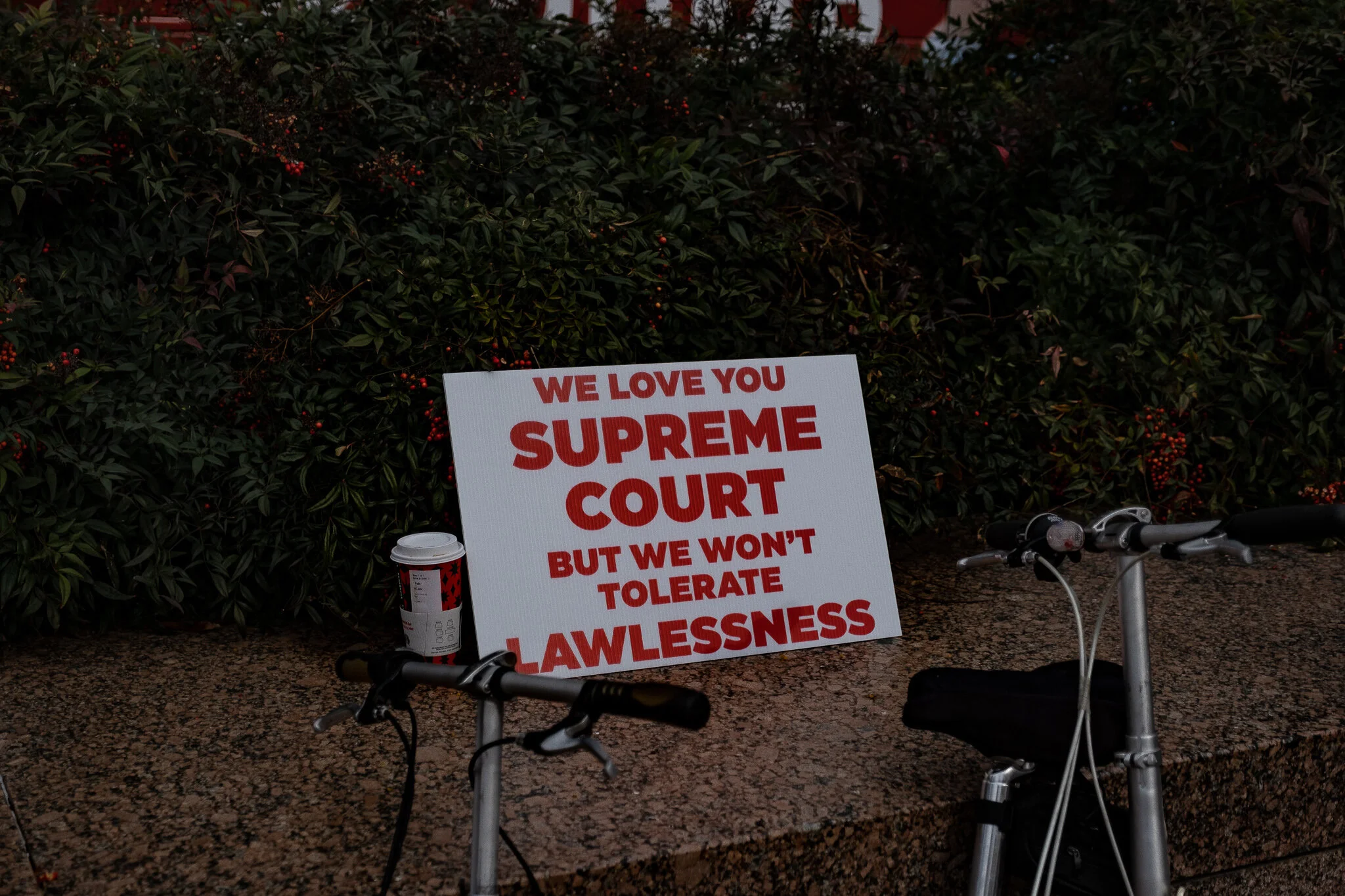 DSCF5017.jpg