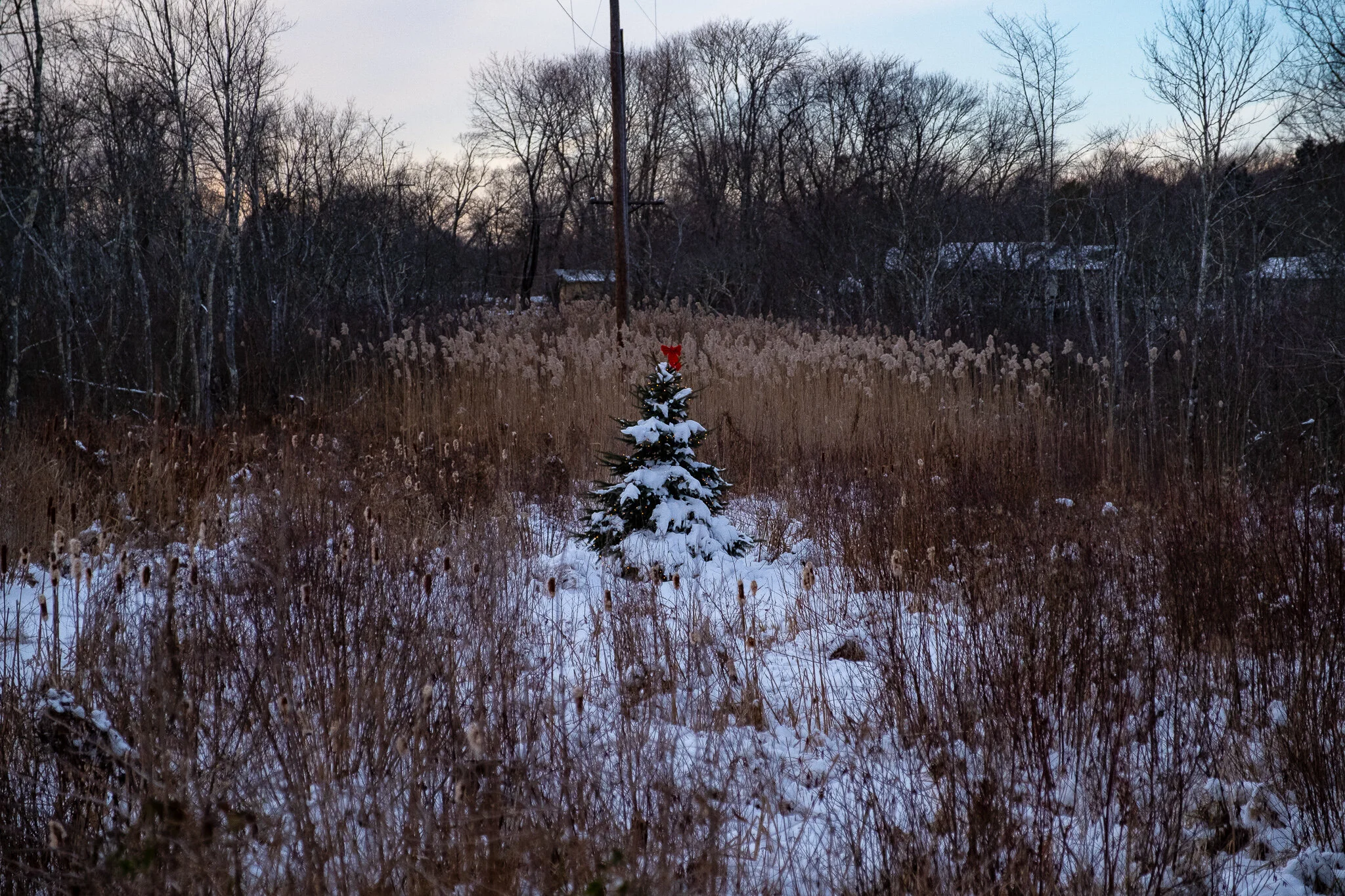 DSCF5813 2.jpg