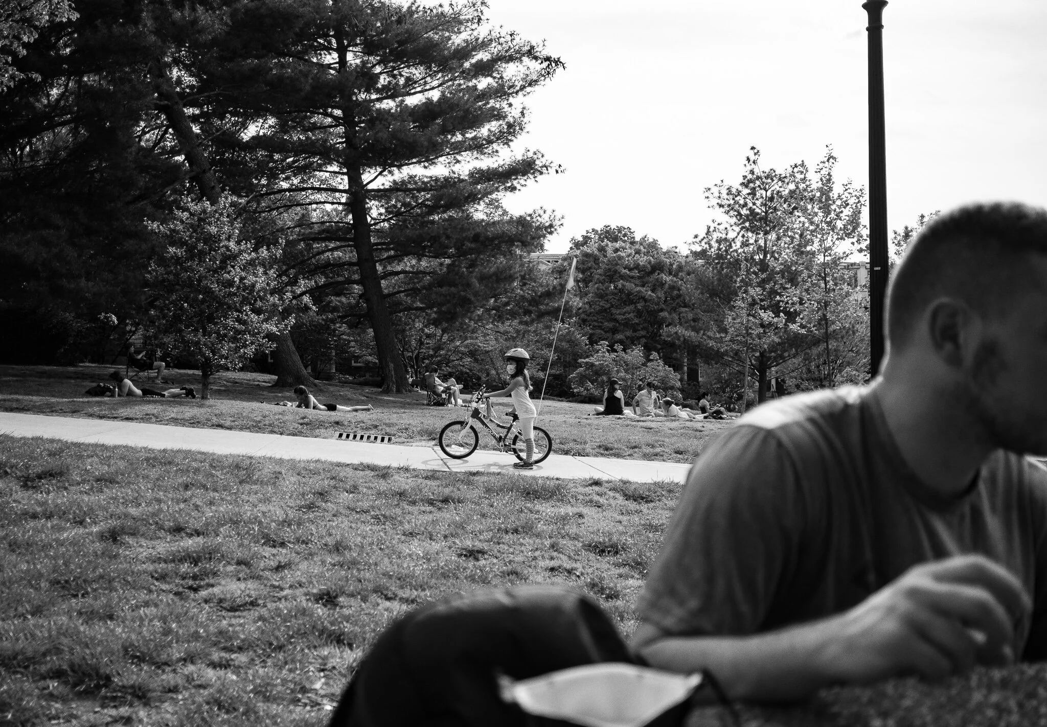 DSCF1782-2.jpg