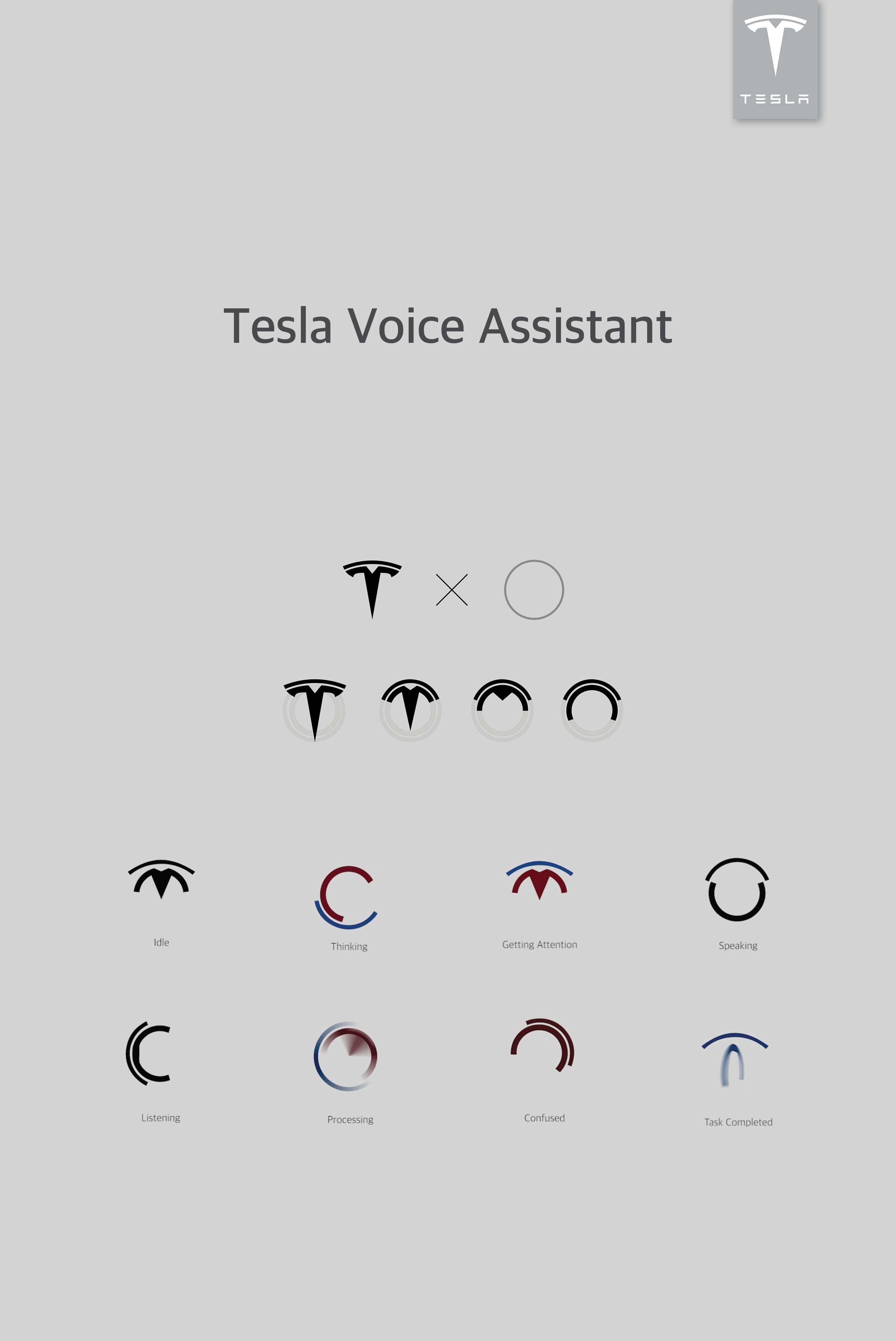 03_Grid Cover_Tesla VA.jpg