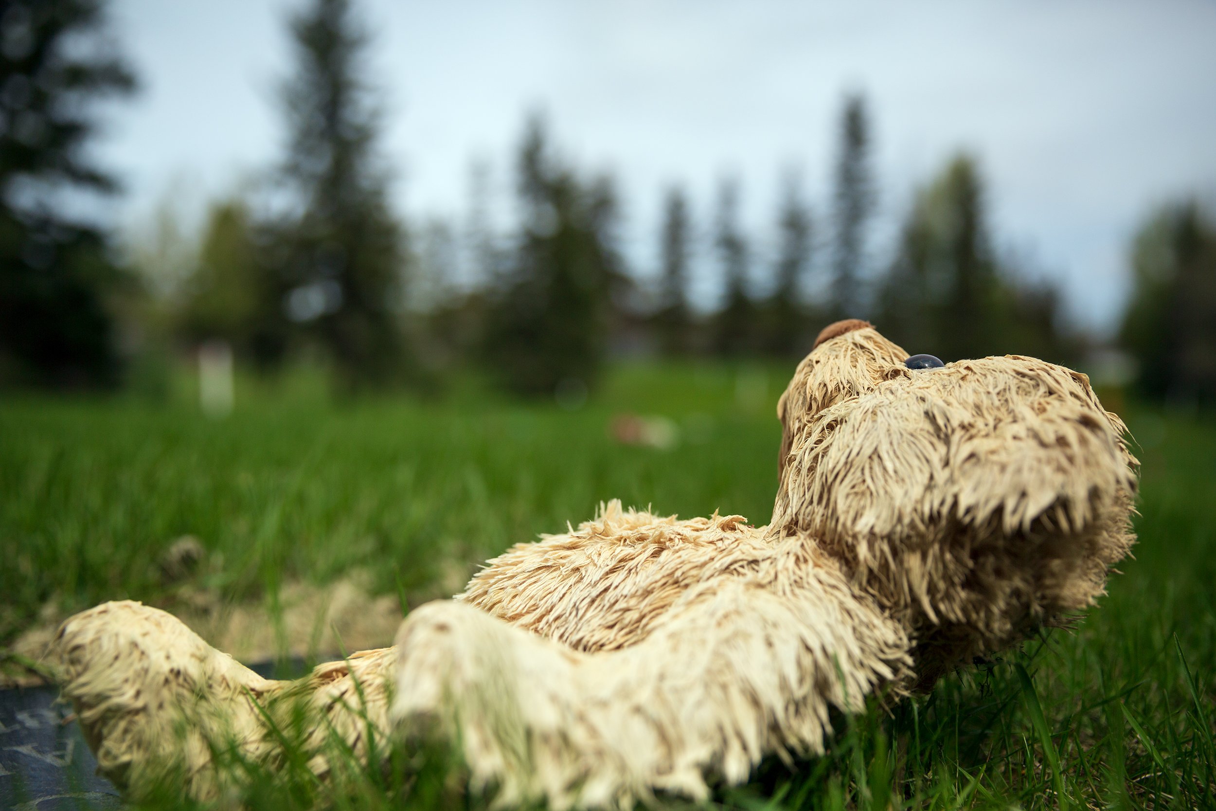 WEB 02-062  CHILD GRAVES .jpg