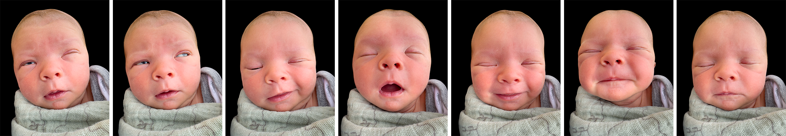 Kenzo, 11 days old