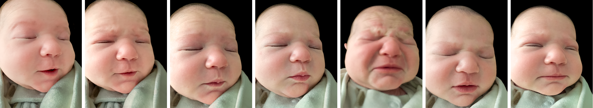 Ramona, 6 days old