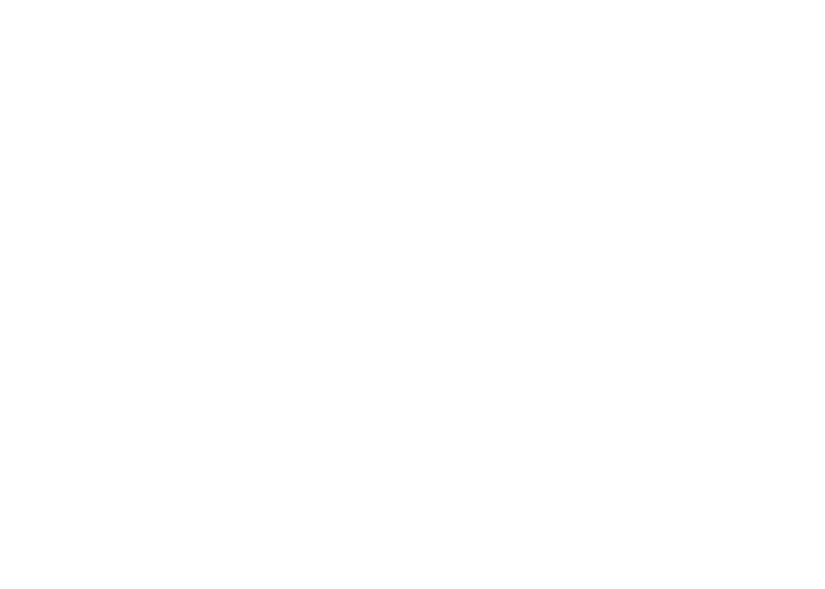STEEZC