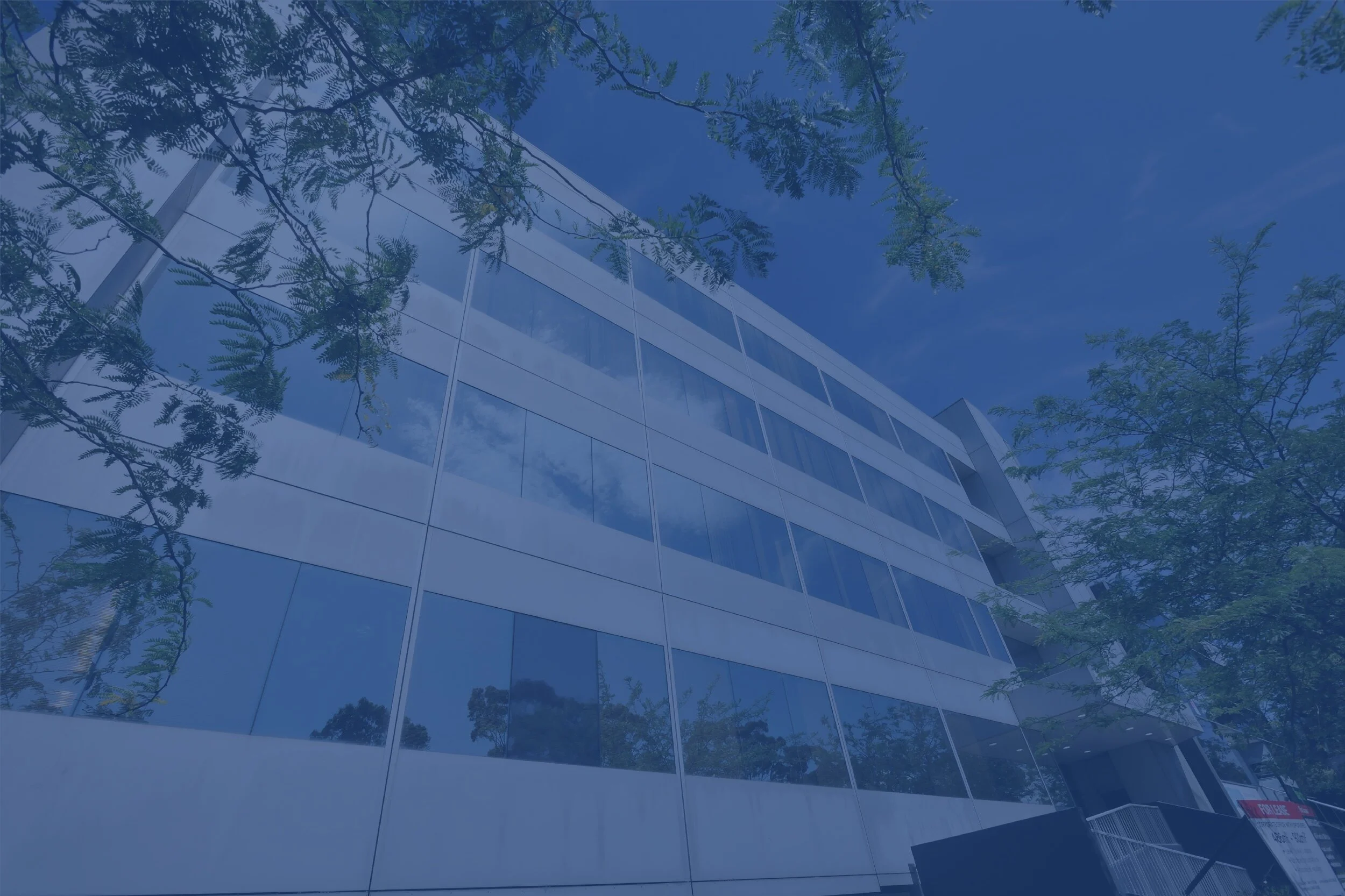 building.jpg