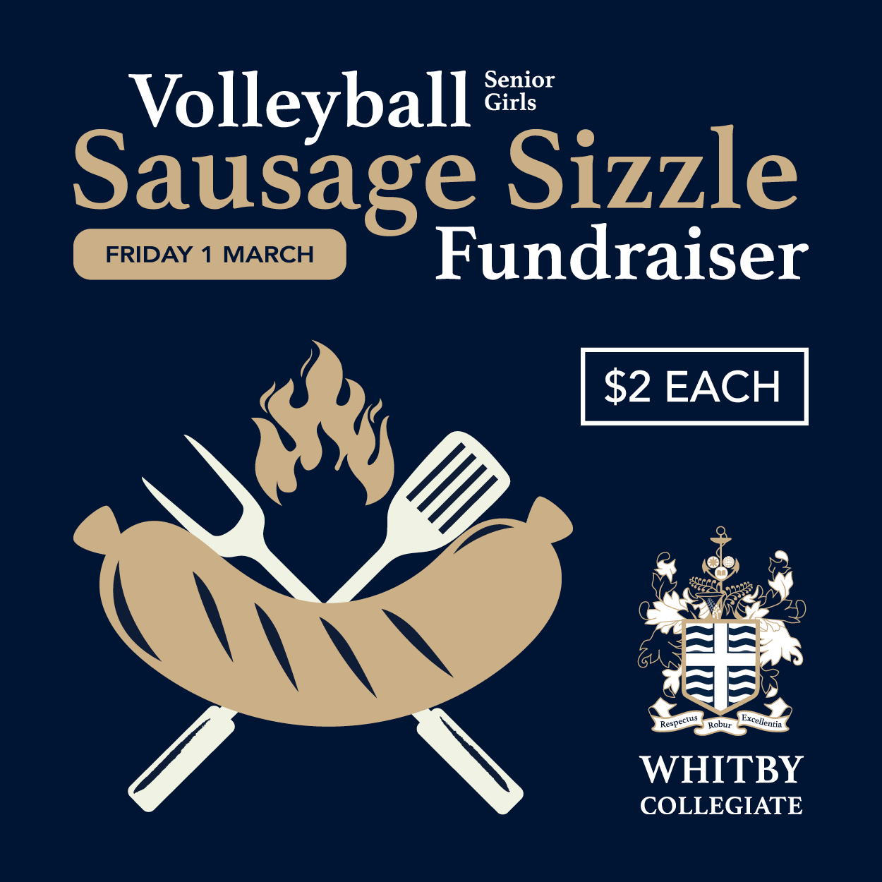 WC_Volleyball_Sausage-Sizzle_Tile_March2024.png