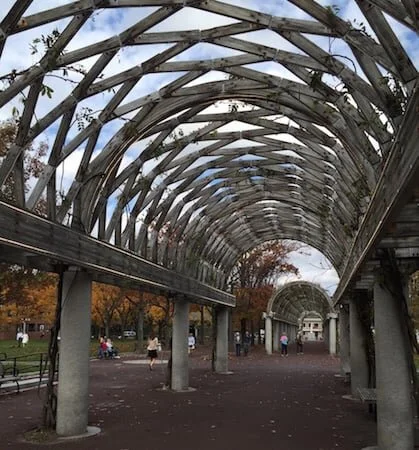 Who needs a roof over their head?