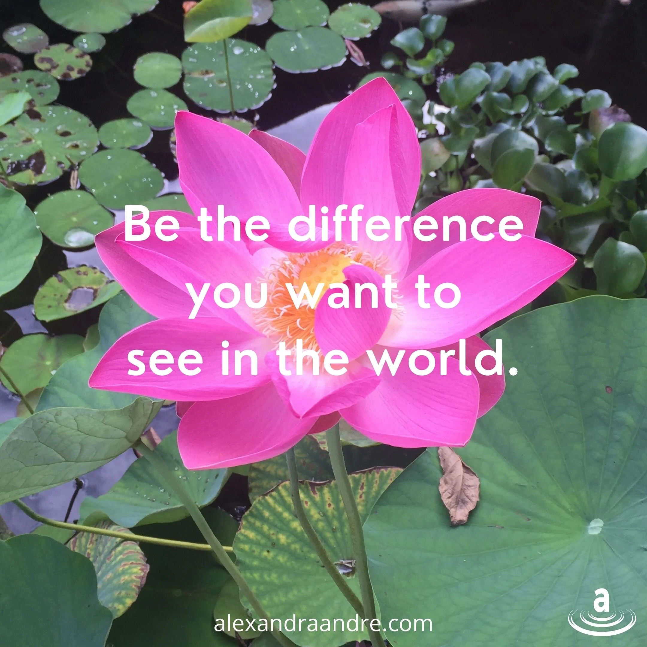 Be the difference you want to see in the world.jpg