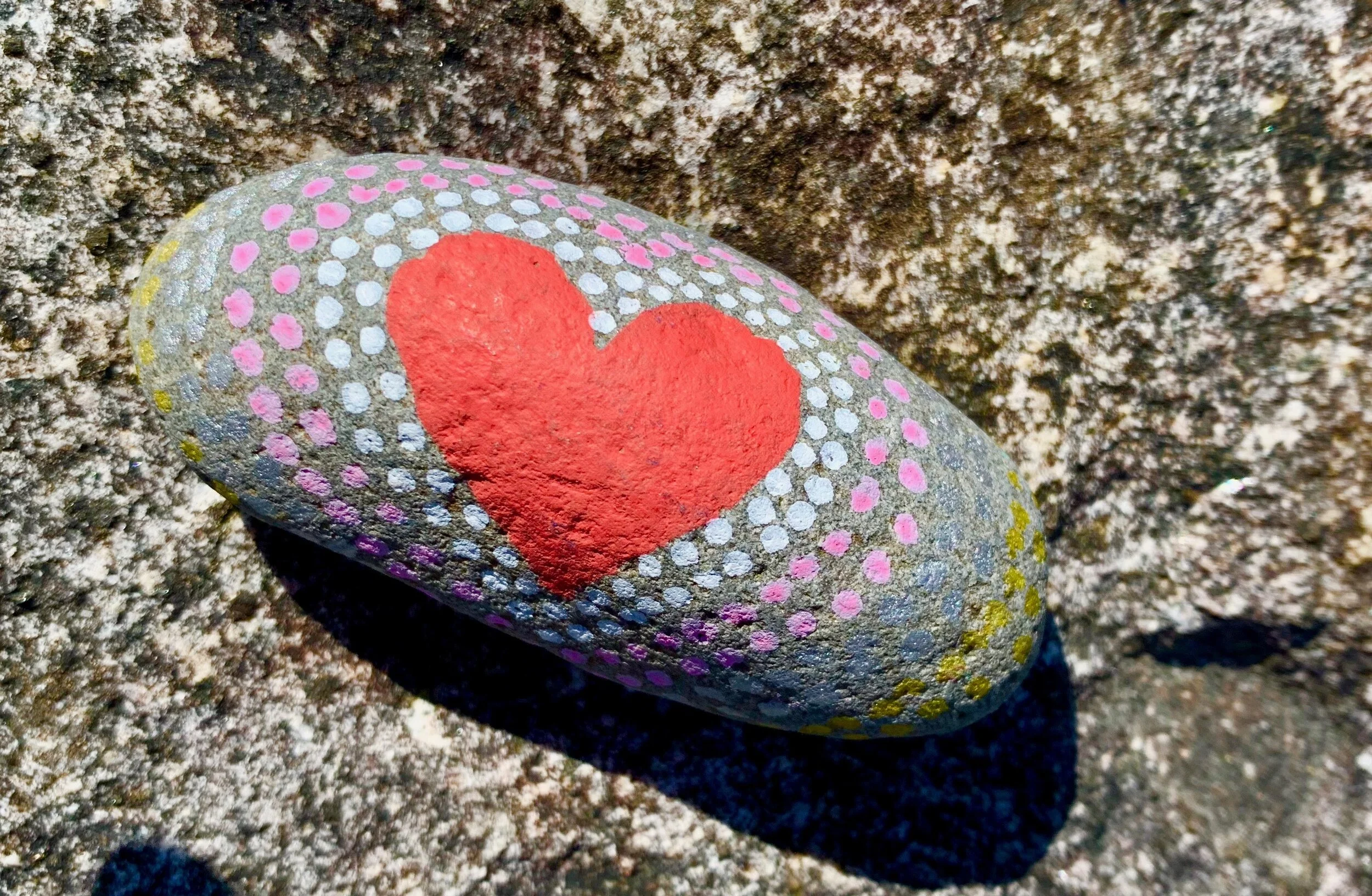 Painted Rocks Hide & Seek