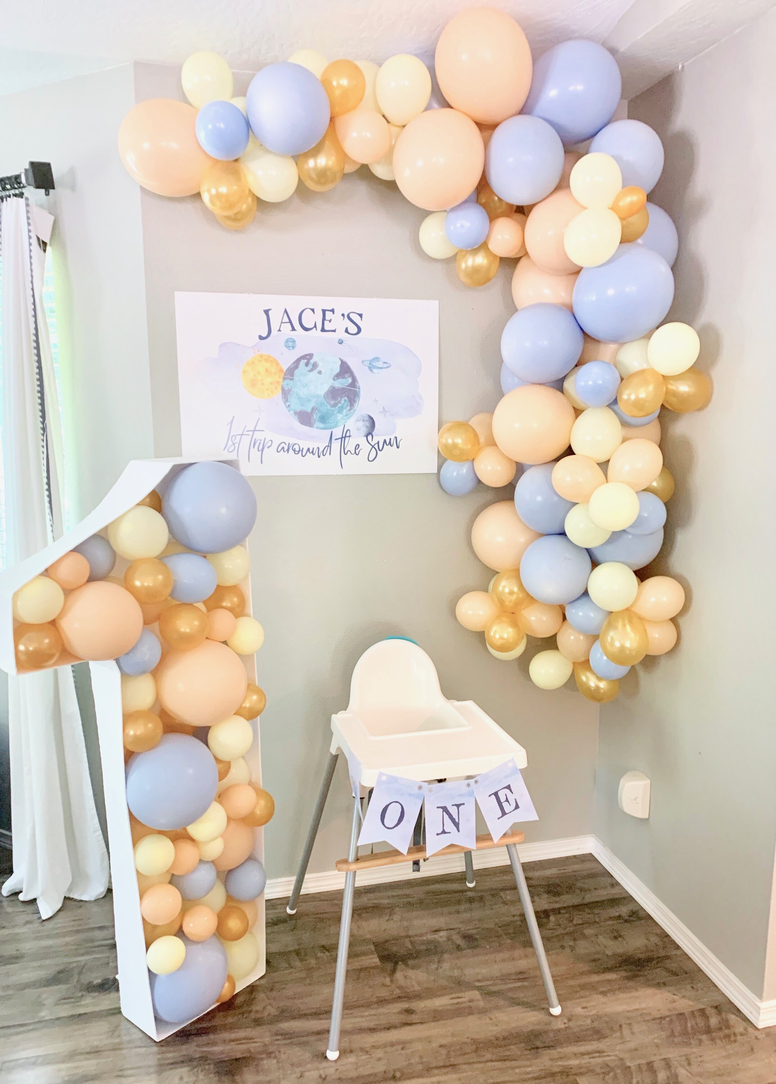 First Trip Around the Sun - First Birthday Party