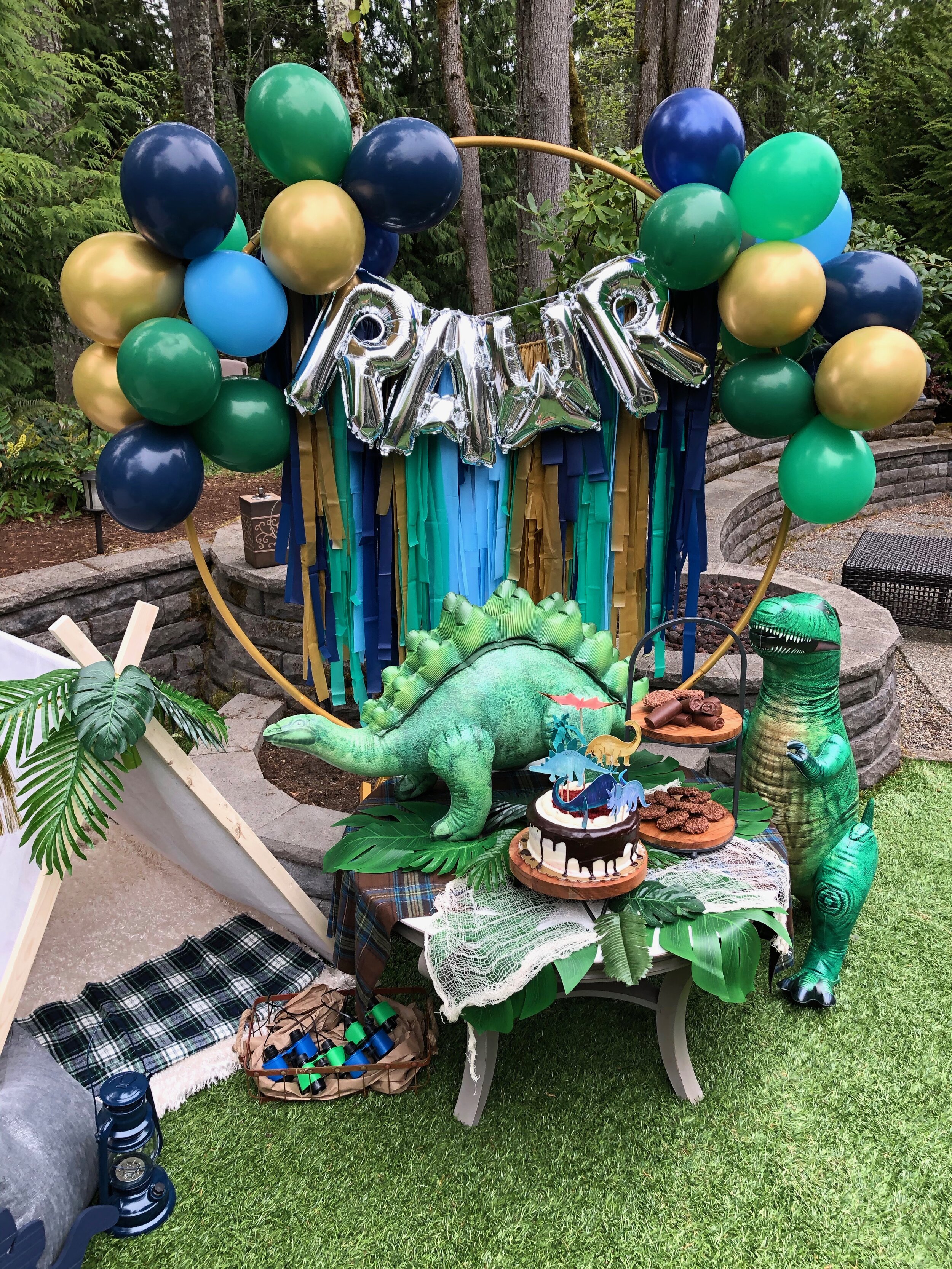 Dinosaur Party Decorations Set Dino 2nd Birthday Party Bundle Boys