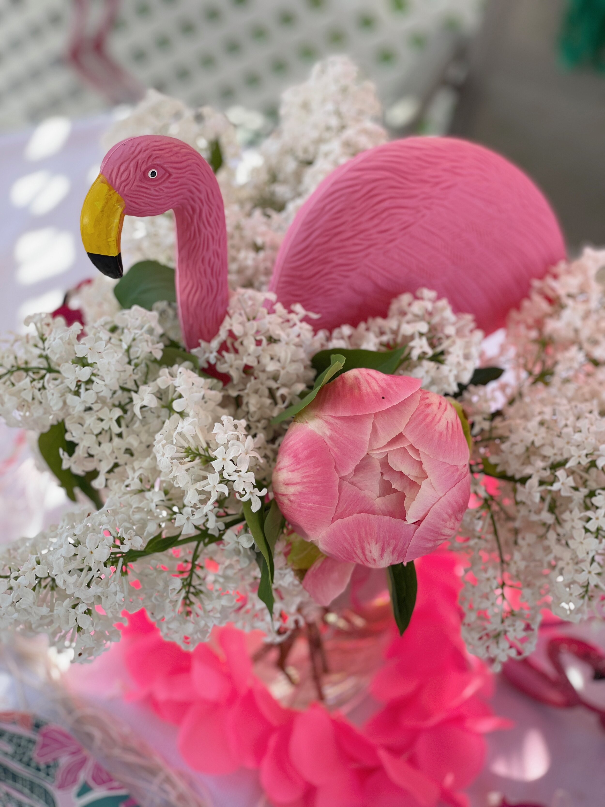 Flamingle Mini-Celebration 
