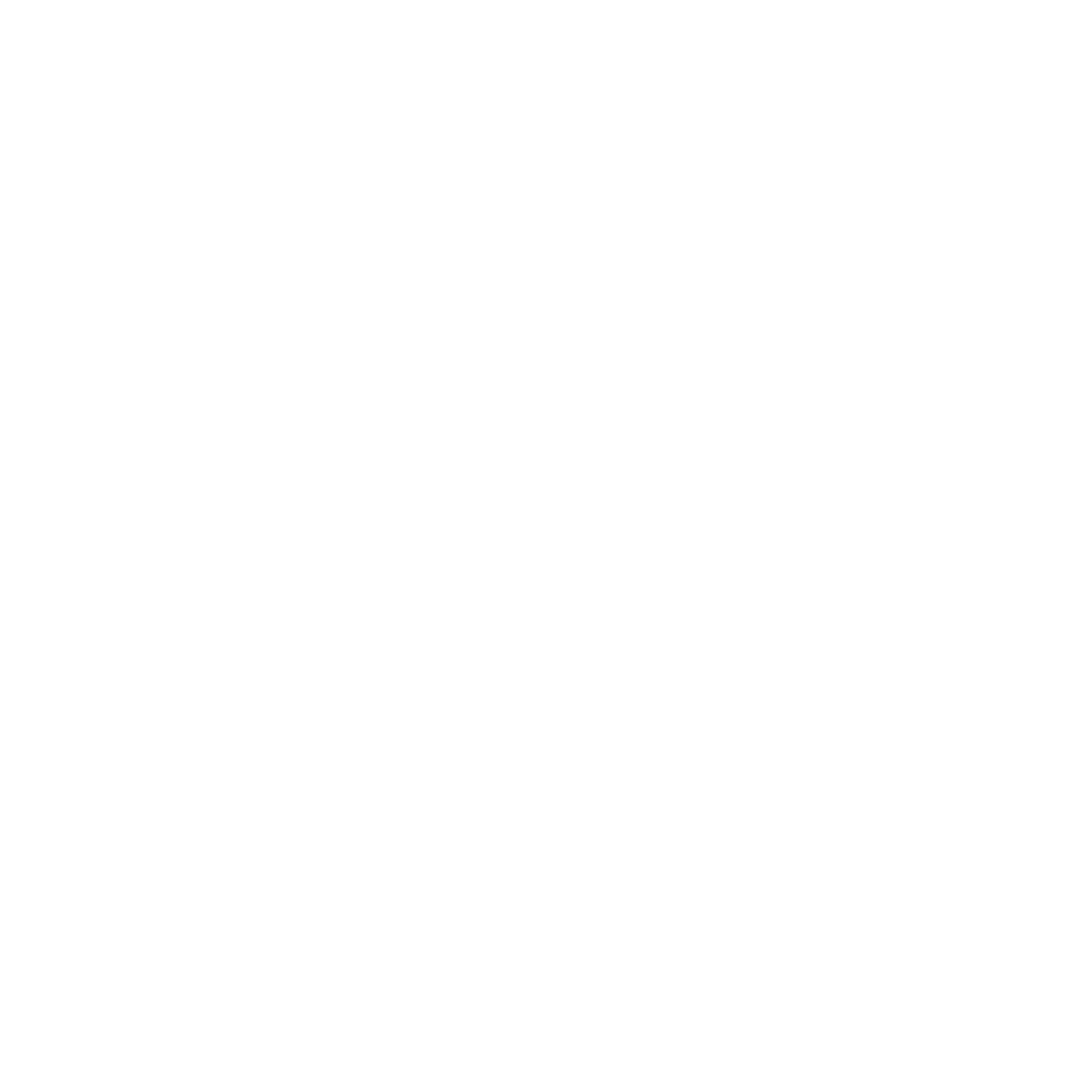 S1