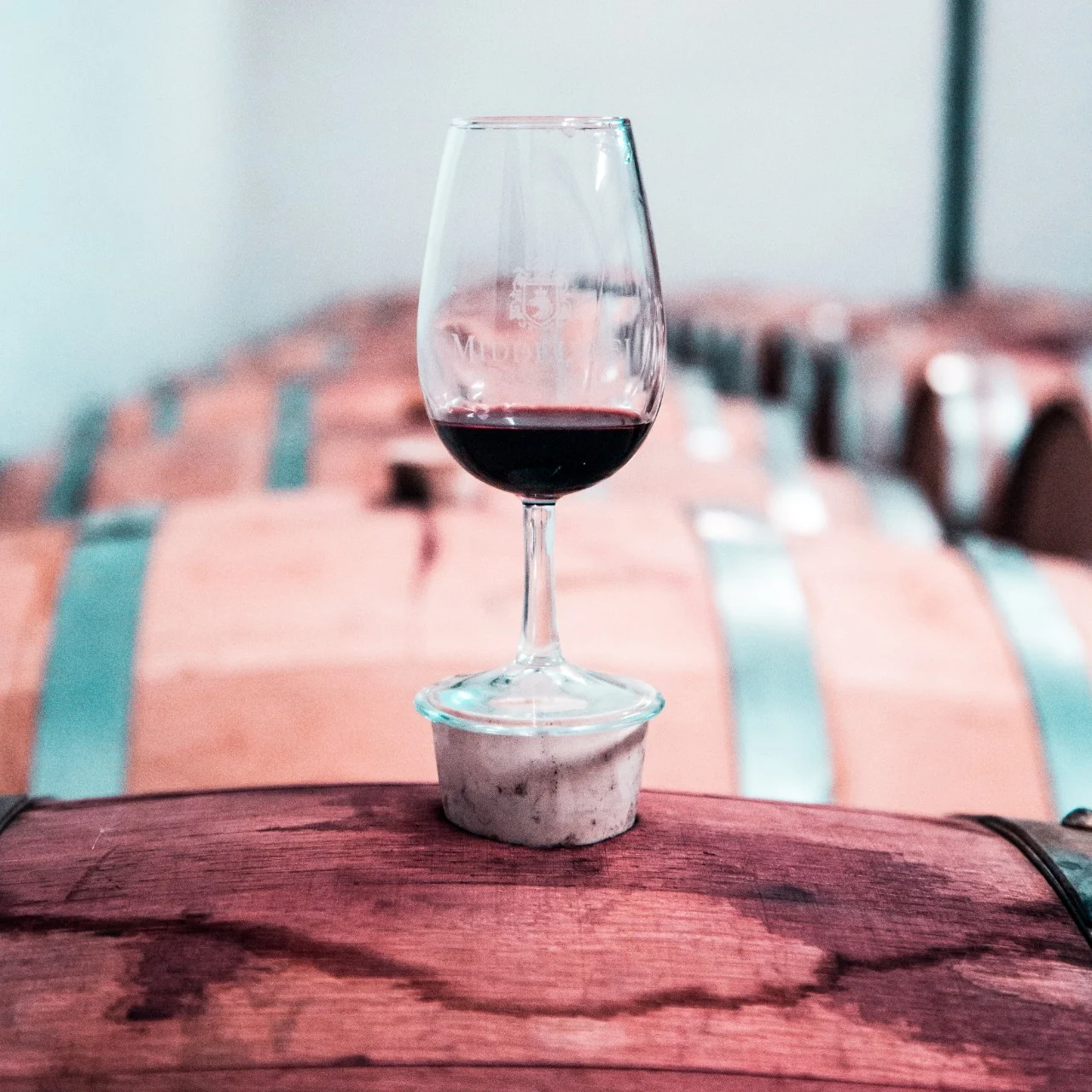 How to Taste Wine Like a Novice