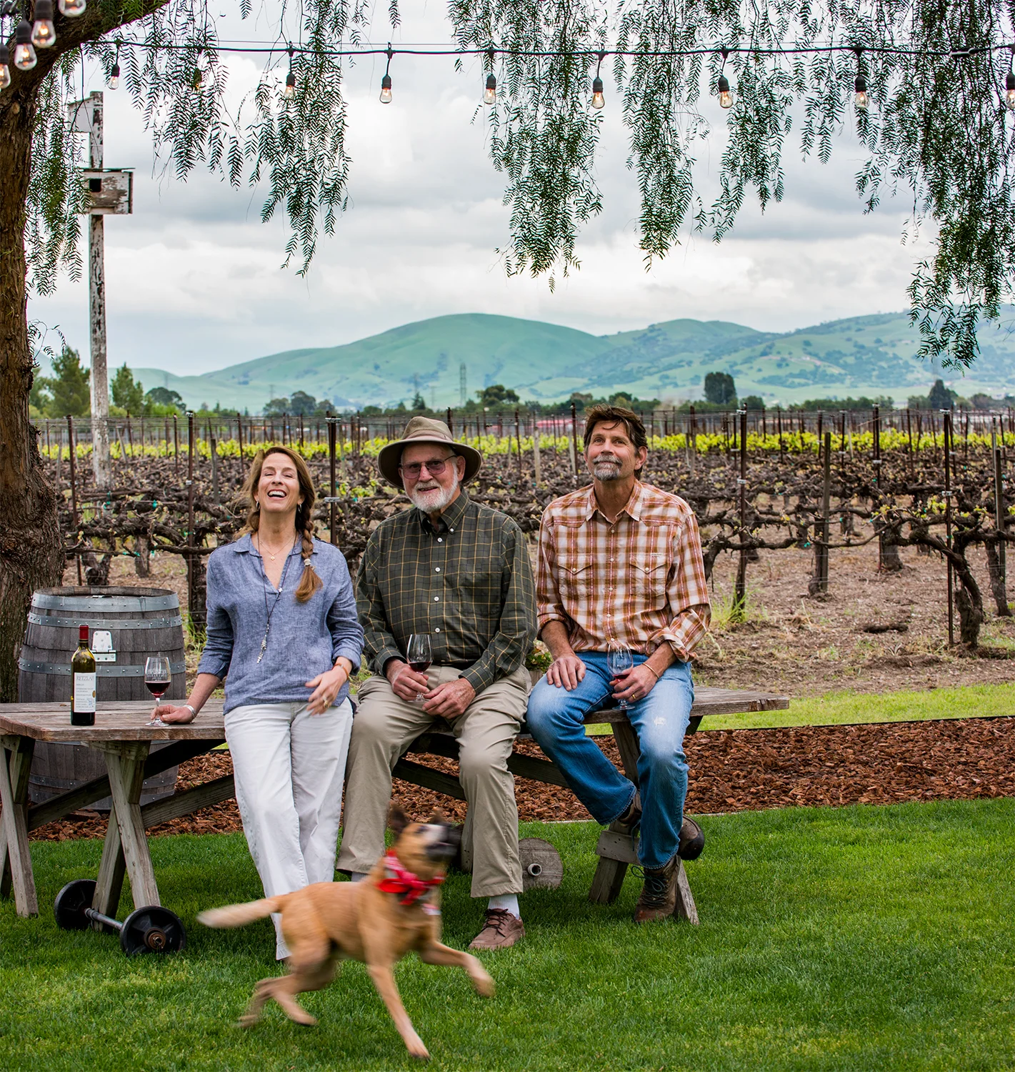 Visionary in a Livermore Valley Vineyard