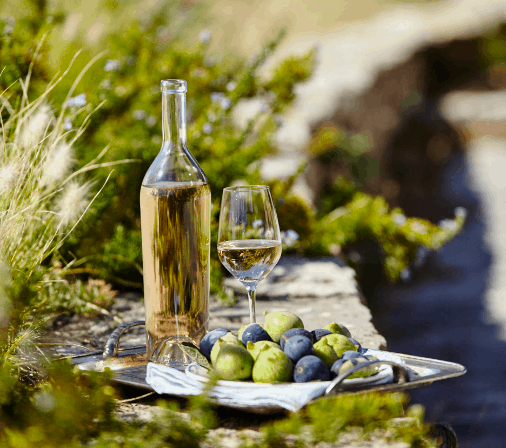 Provence: The Prescription for your Pink Wine Phobia
