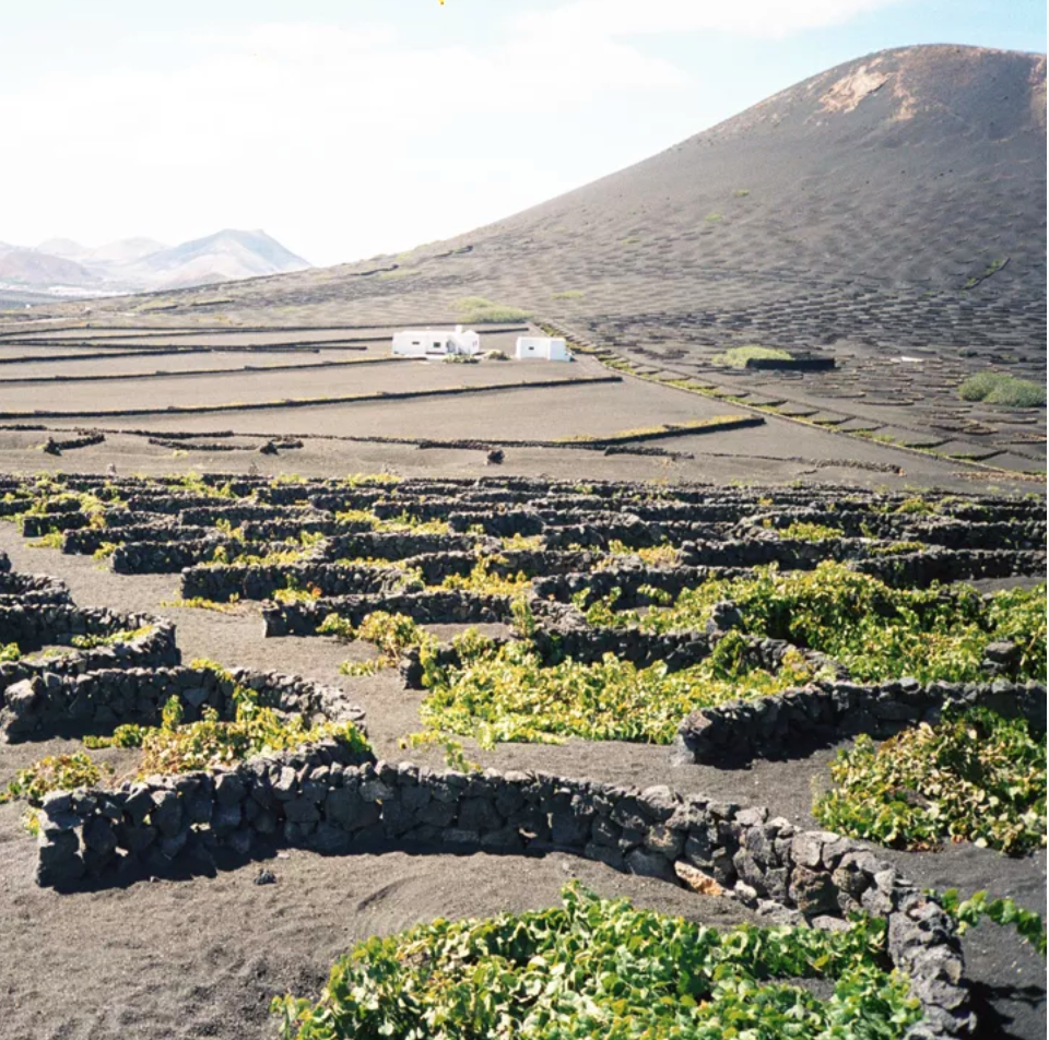6 Wine Regions You've Probably Never Heard Of