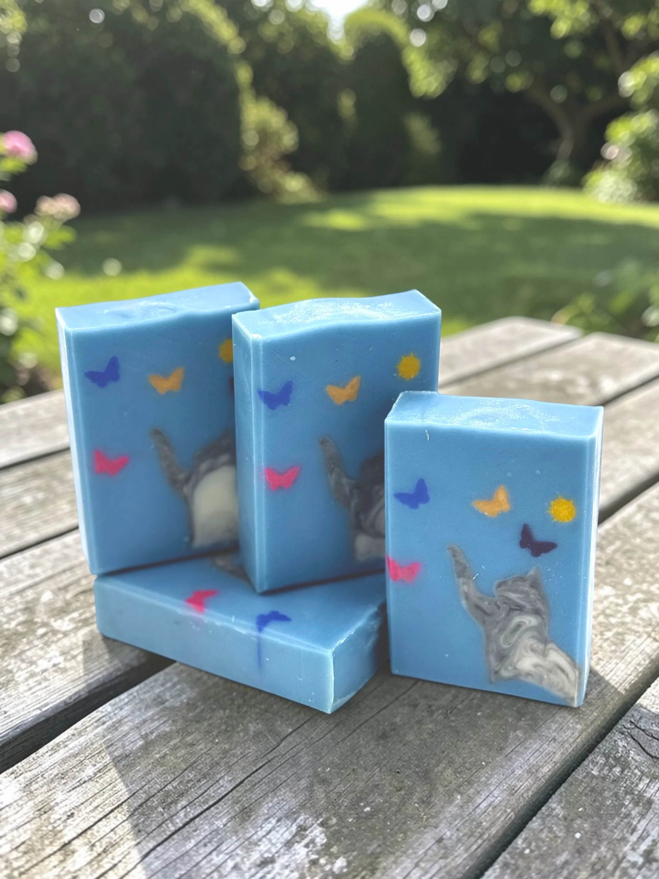 Chasing Butterflies.jpg