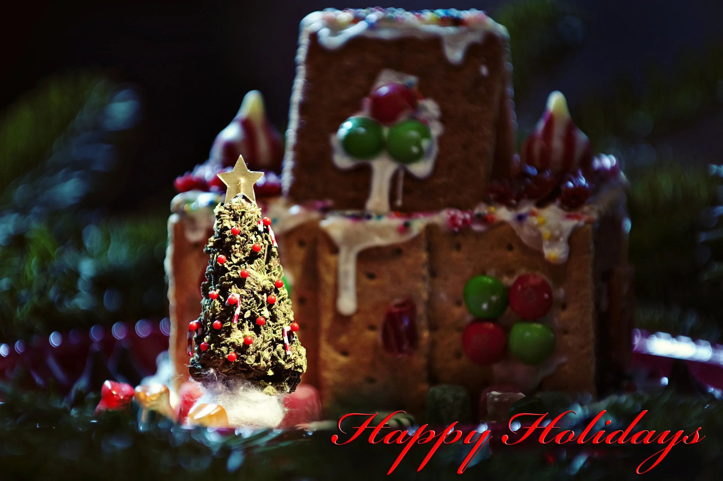 HappyHolidays_001.jpg