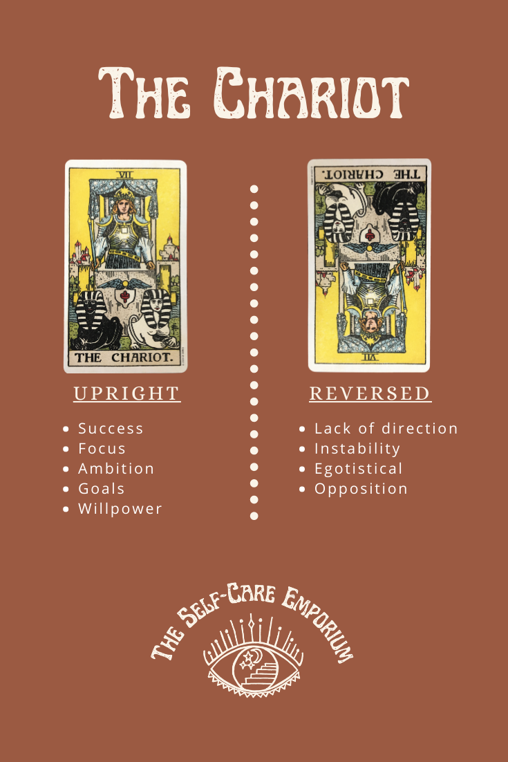 Chariot Tarot Meaning For Love, Health, Home, and Career